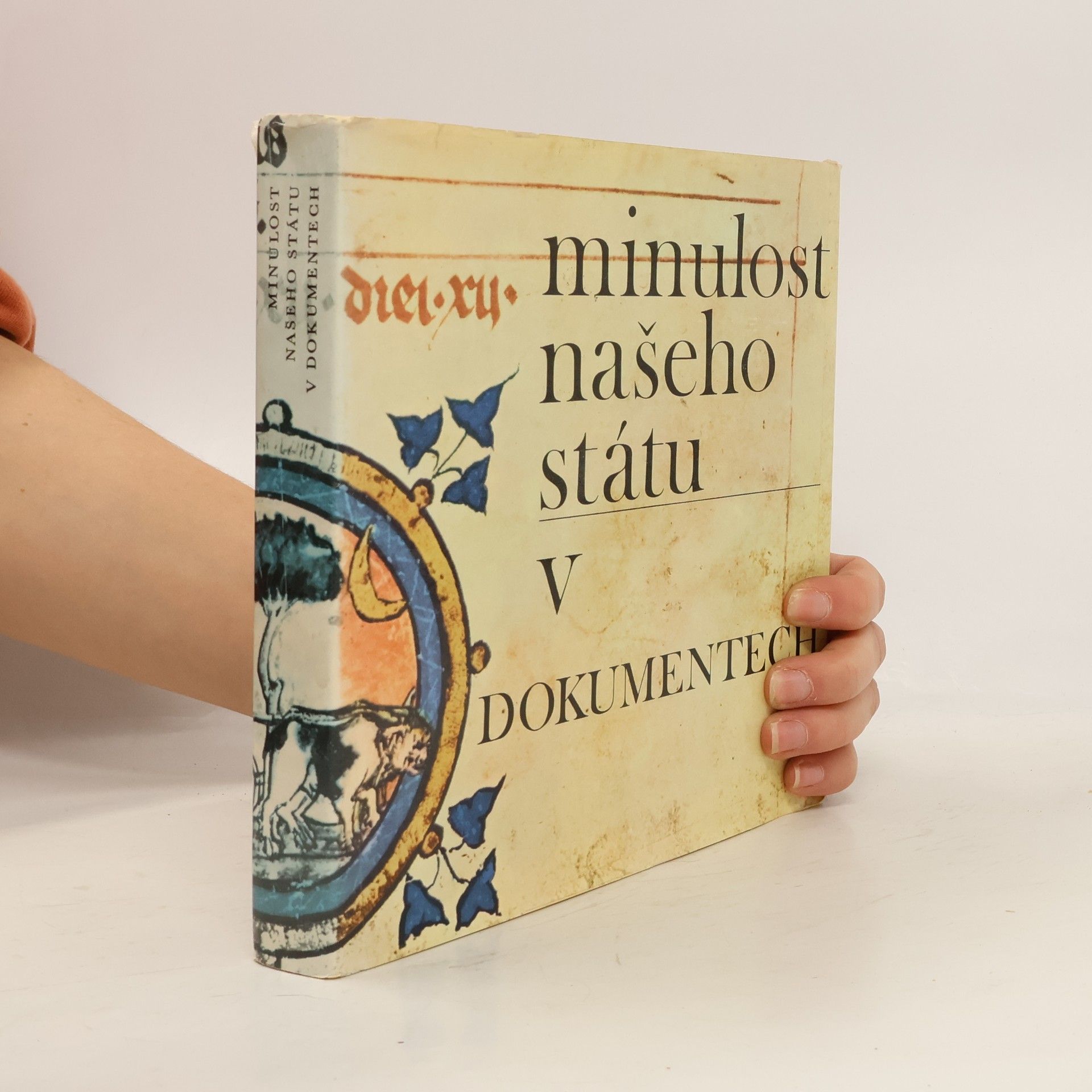 Autorenkollektiv Minulost našeho státu v dokumentech