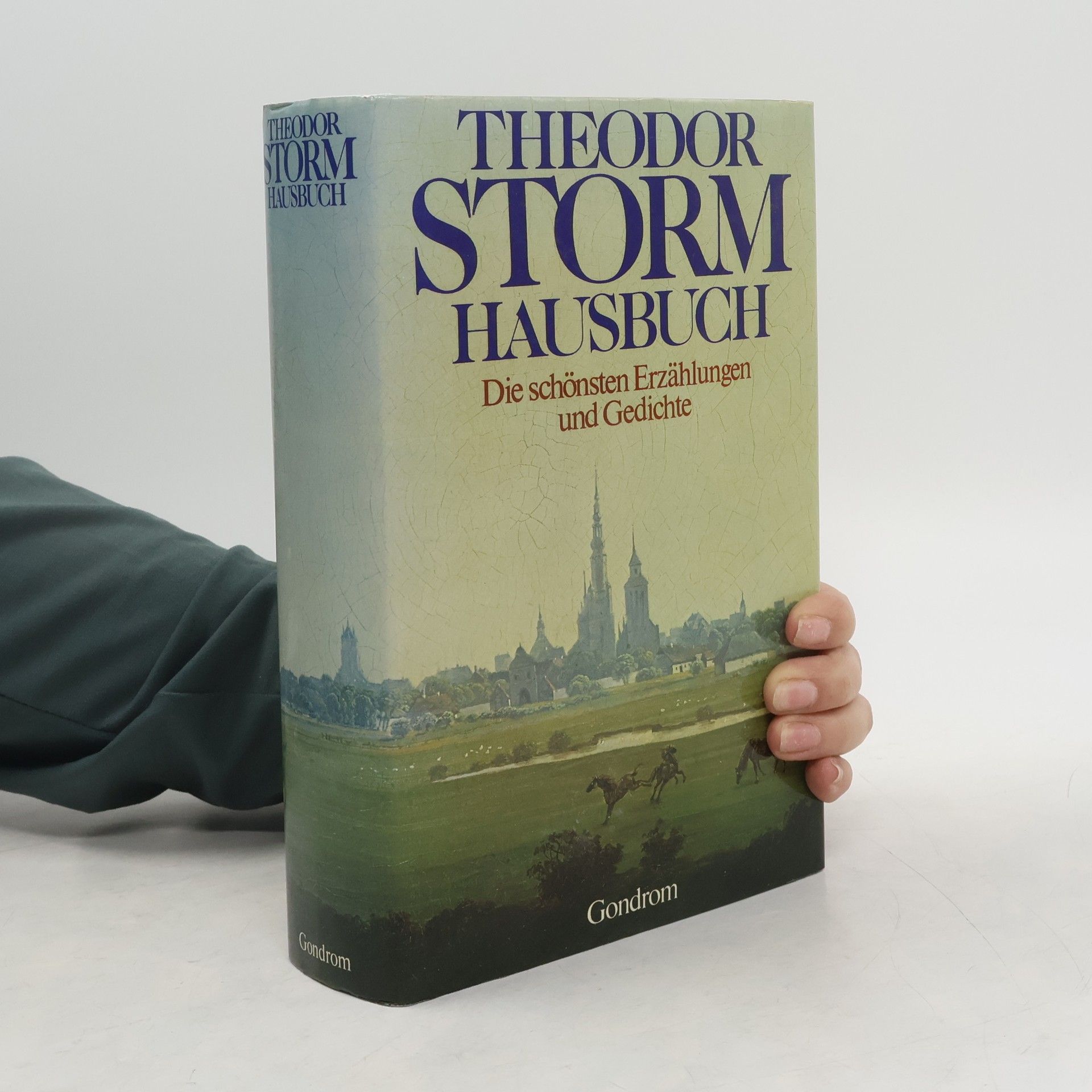 Hans Theodor Woldsen Storm Die schönsten Erzählungen und Gedichte