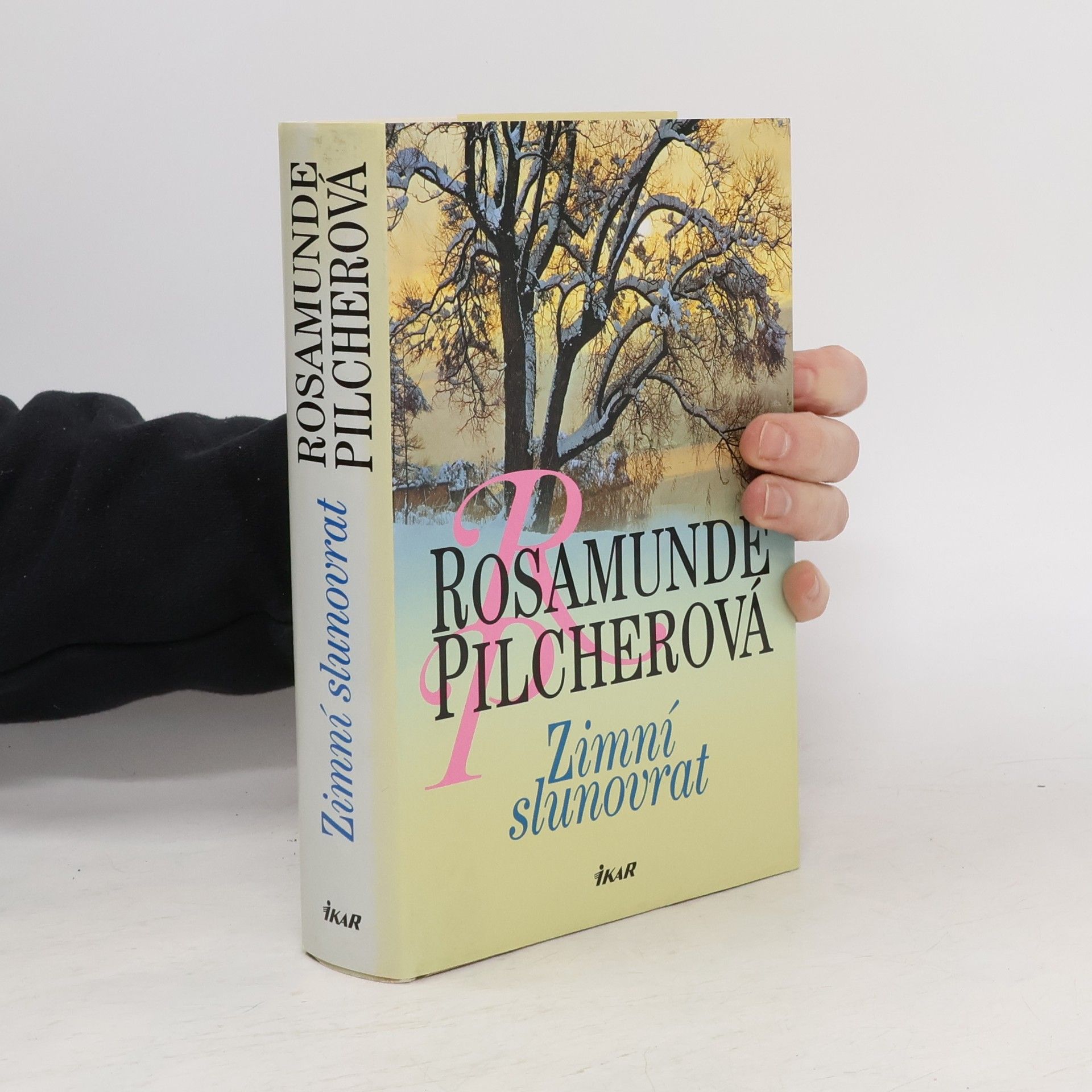Rosamunde Pilcher Zimní slunovrat