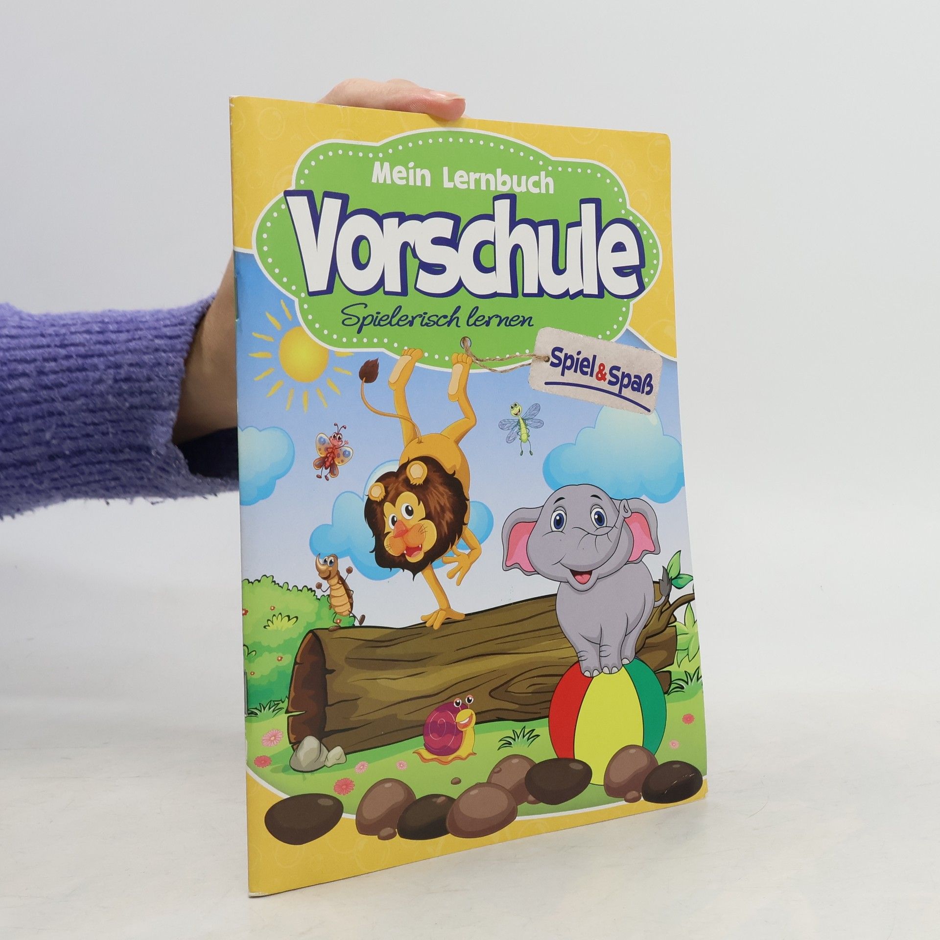 Autorenkollektiv Mein Lernbuch Vorschule