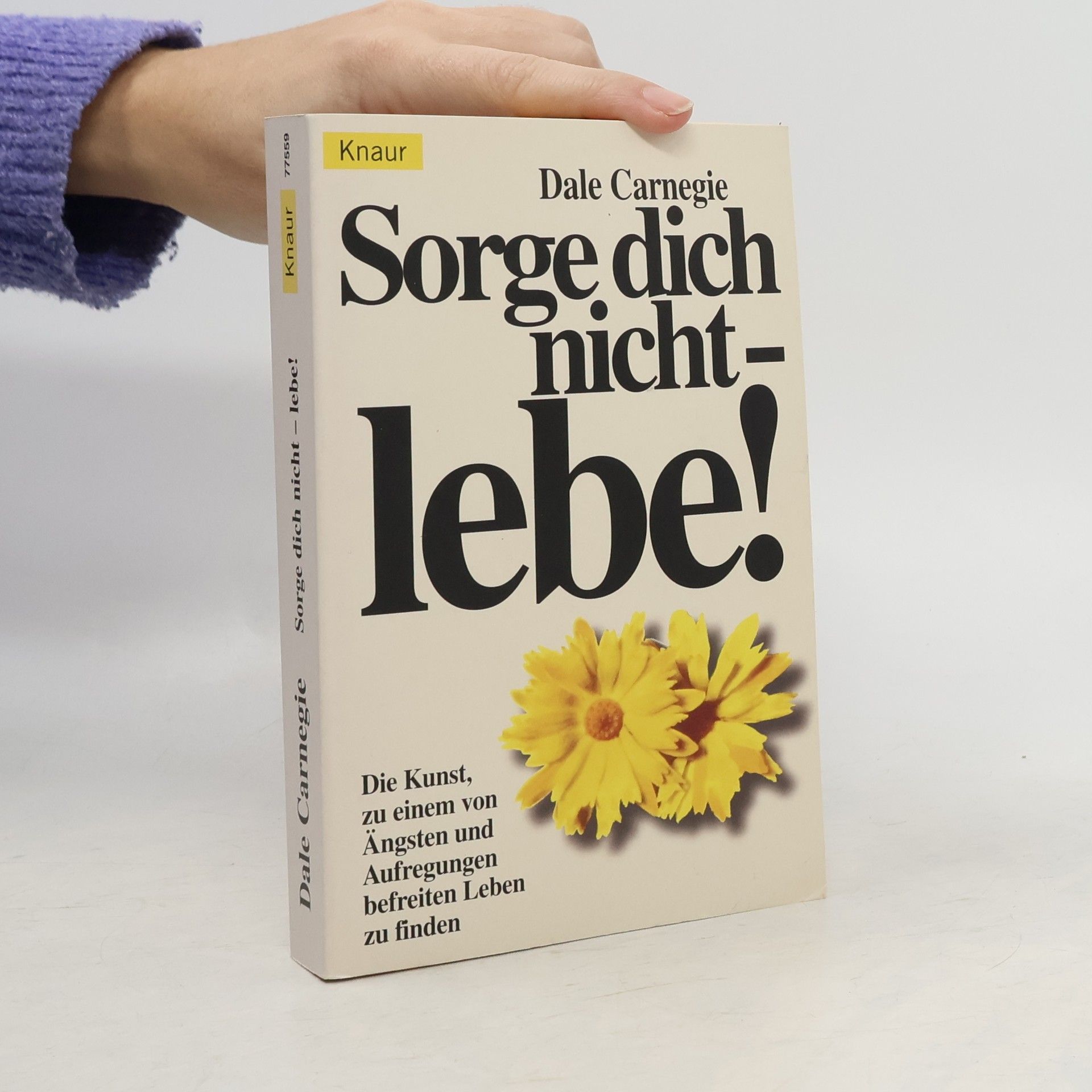 Dale Carnegie Sorge dich nicht - lebe!