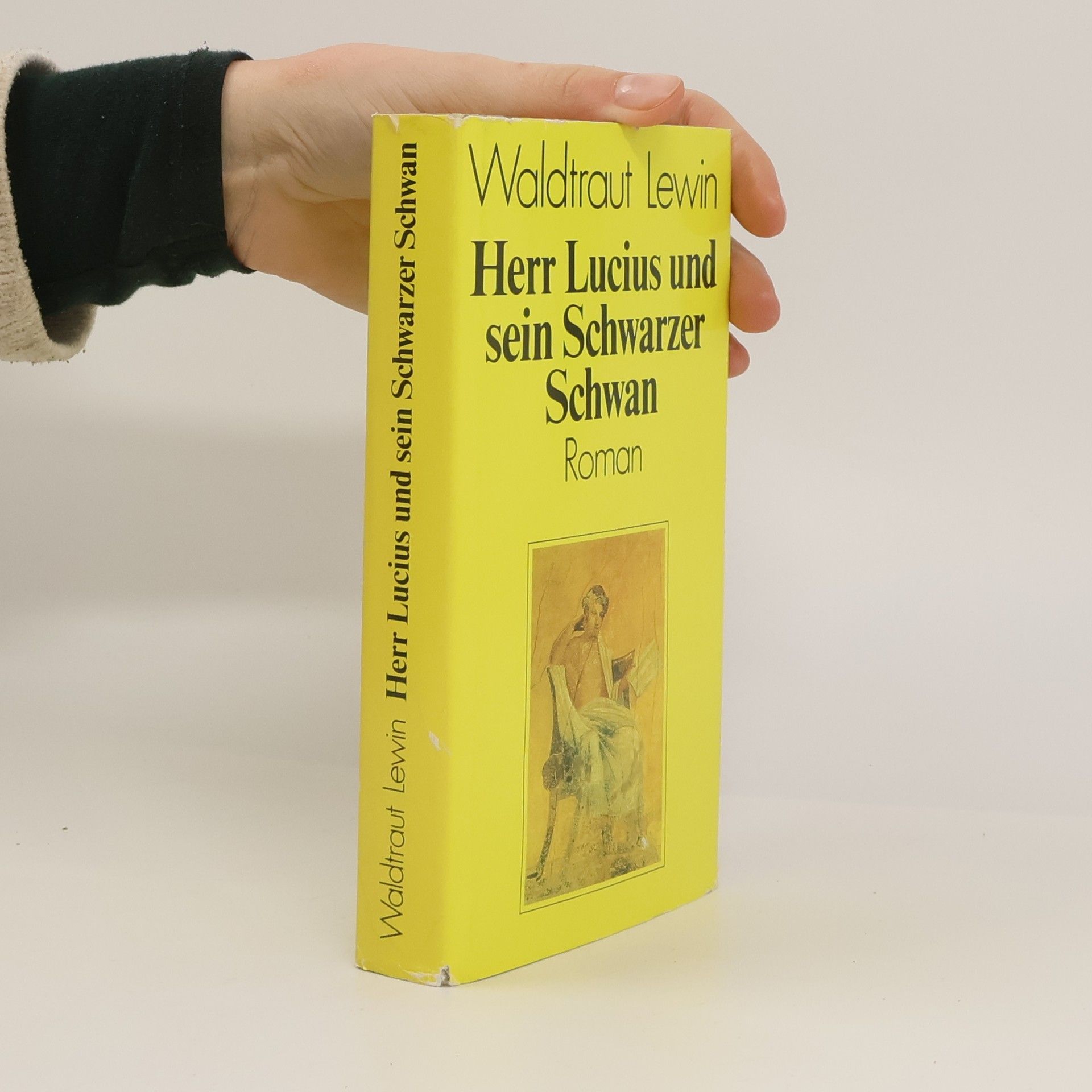 Waldtraut Lewin Herr Lucius un sein Schwarzer Schwan