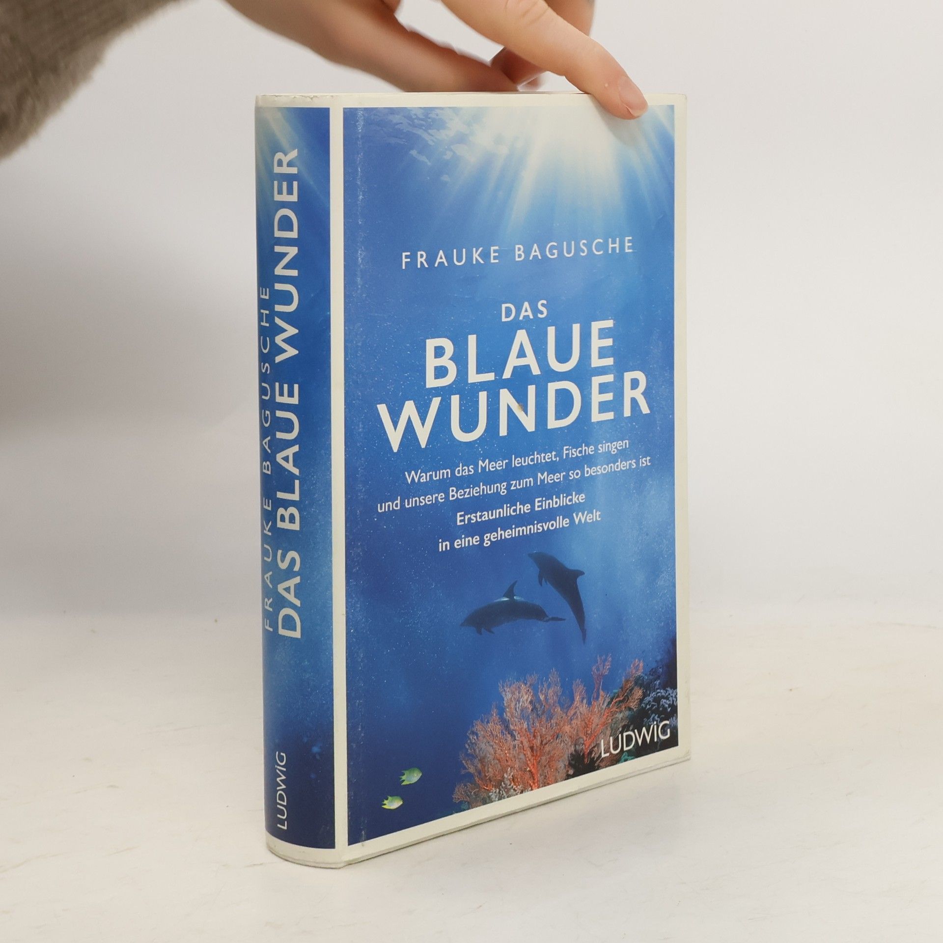 Frauke Bagusche Das blaue Wunder