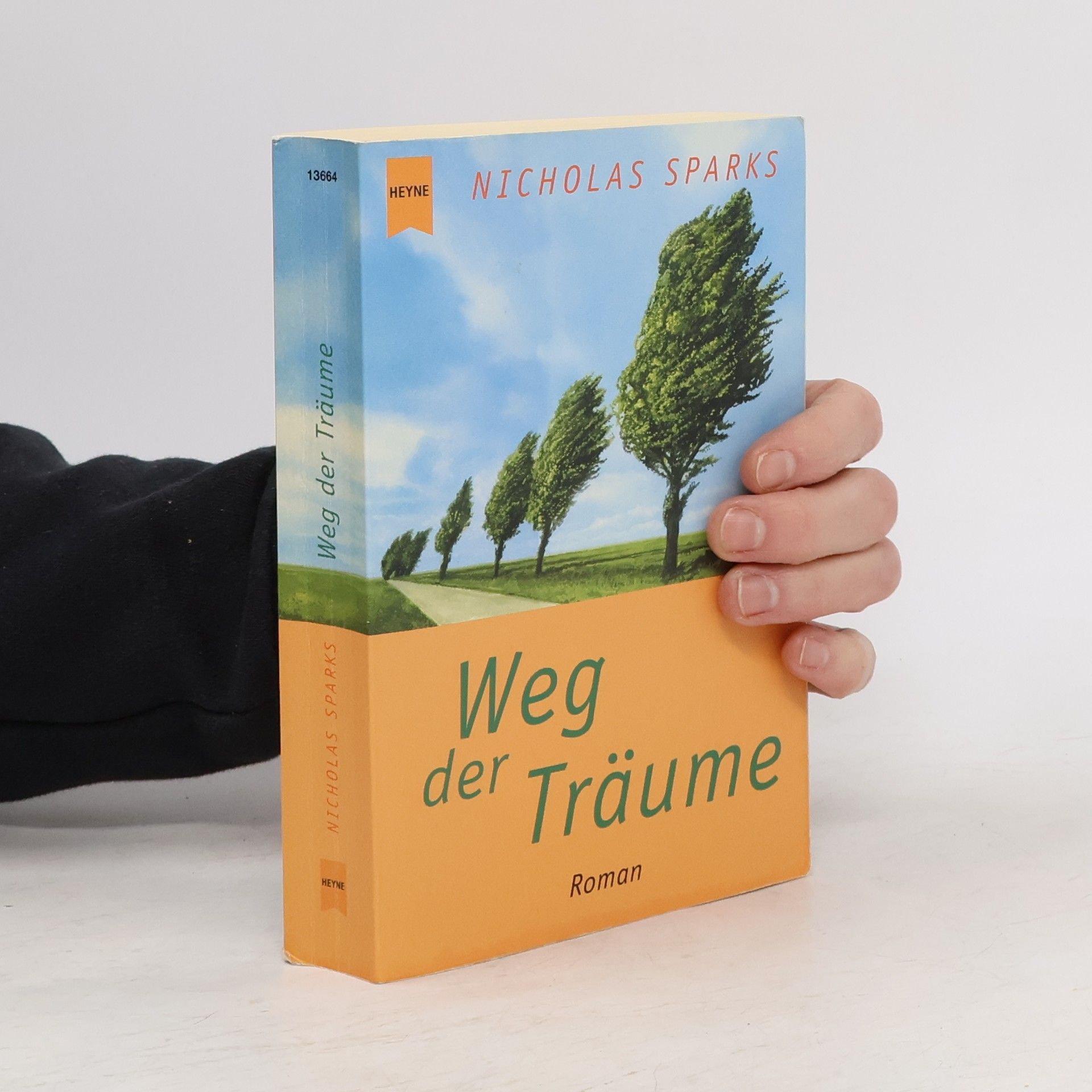 Nicholas Sparks Weg der Träume