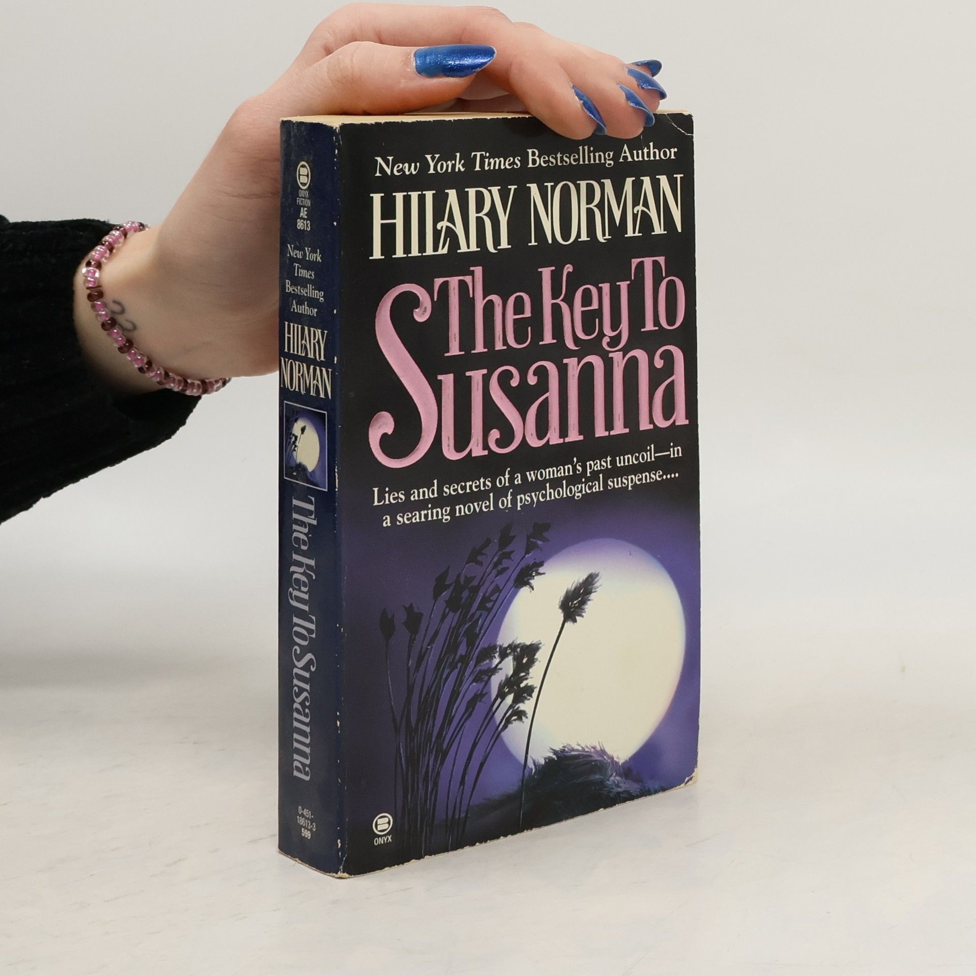 Hilary Norman The Key to Susanna