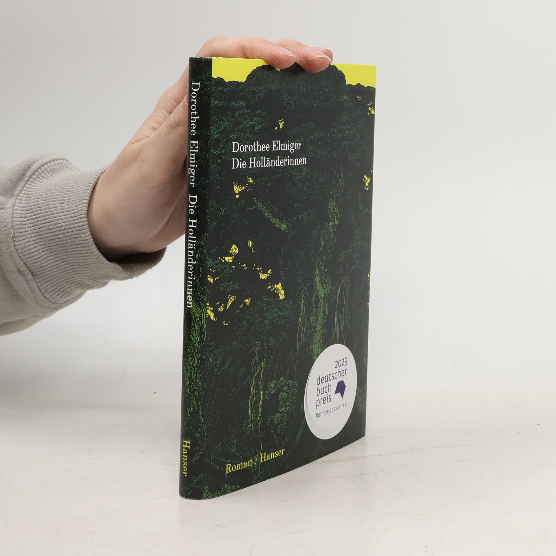 Dorothee Elmiger Die Holländerinnen