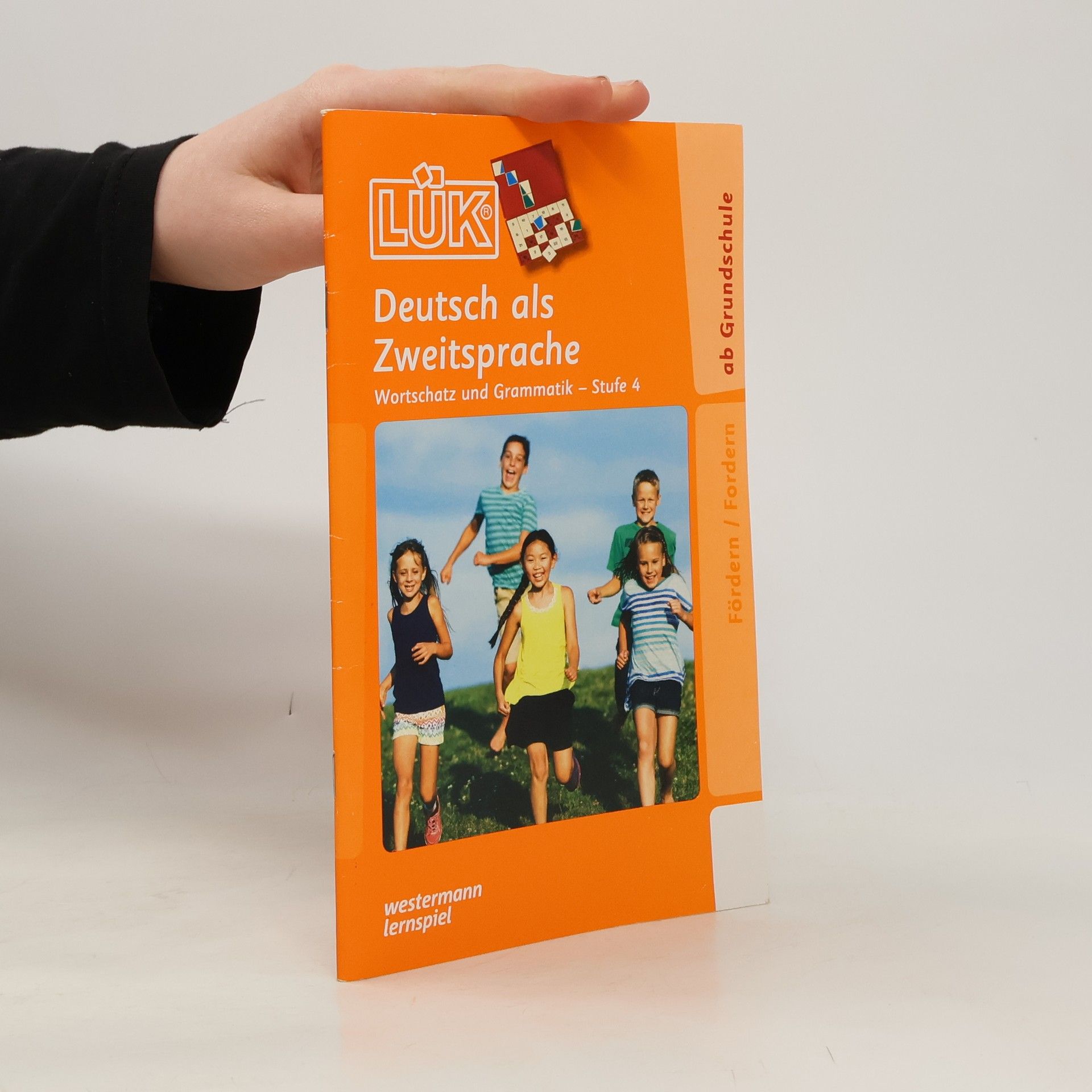 Collectif d'auteurs Deutsch als Zweitsprache