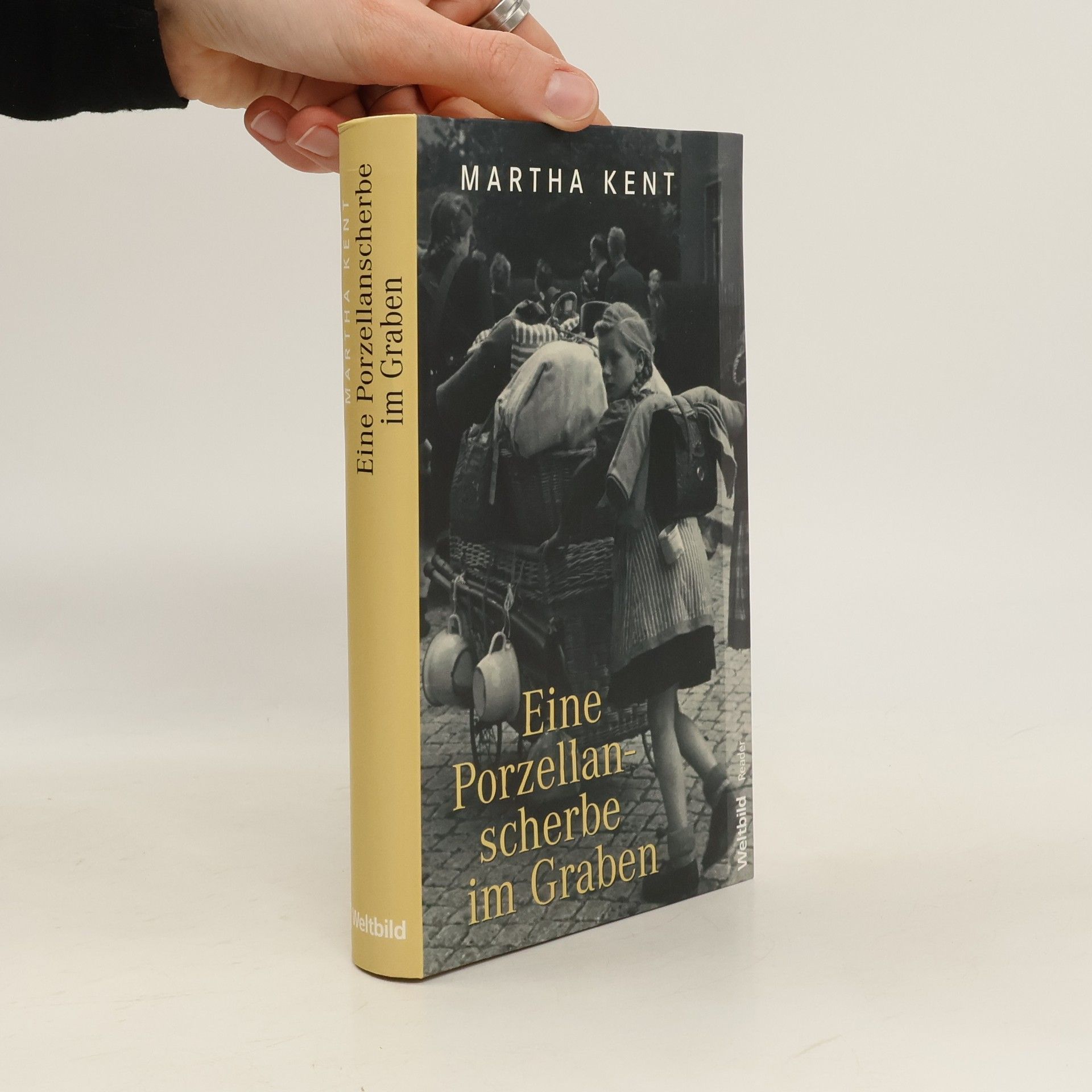 Eine Porzellanscherbe im Graben