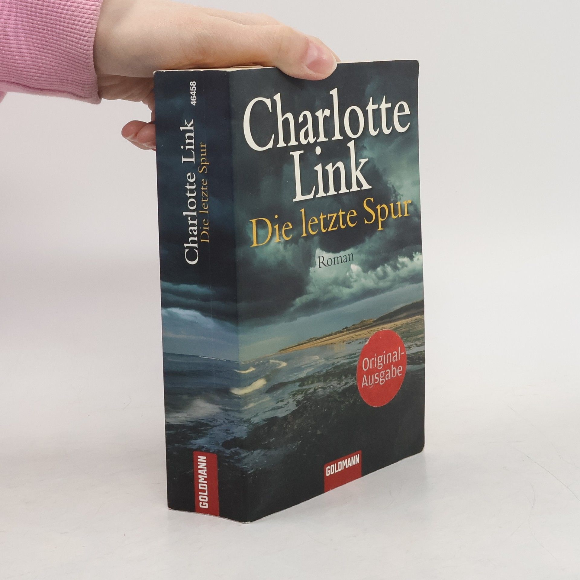 Charlotte Link Die letzte Spur