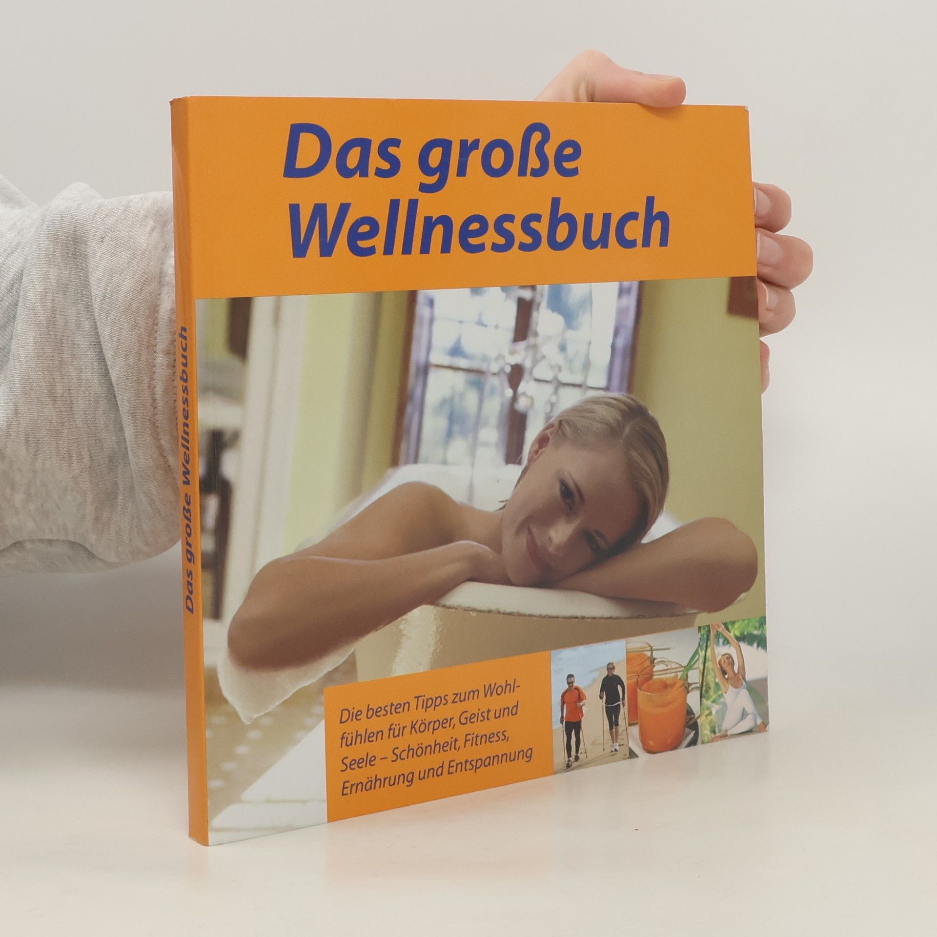kolektiv Das große Wellnessbuch
