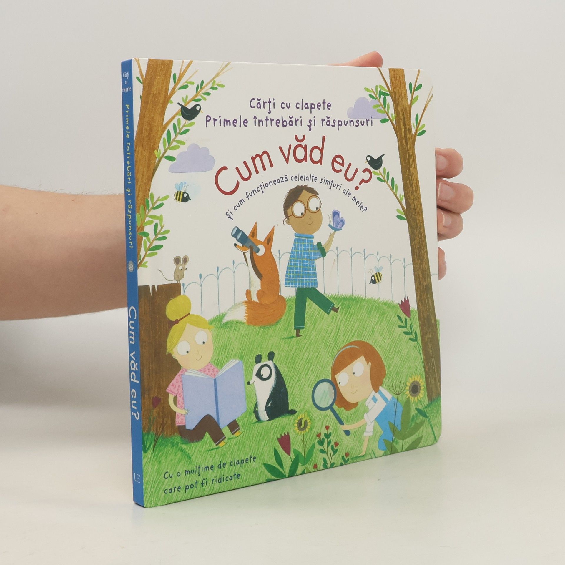 Daynes Katie. Cum văd eu? Și cum funcționează celelalte simțuri ale mele?