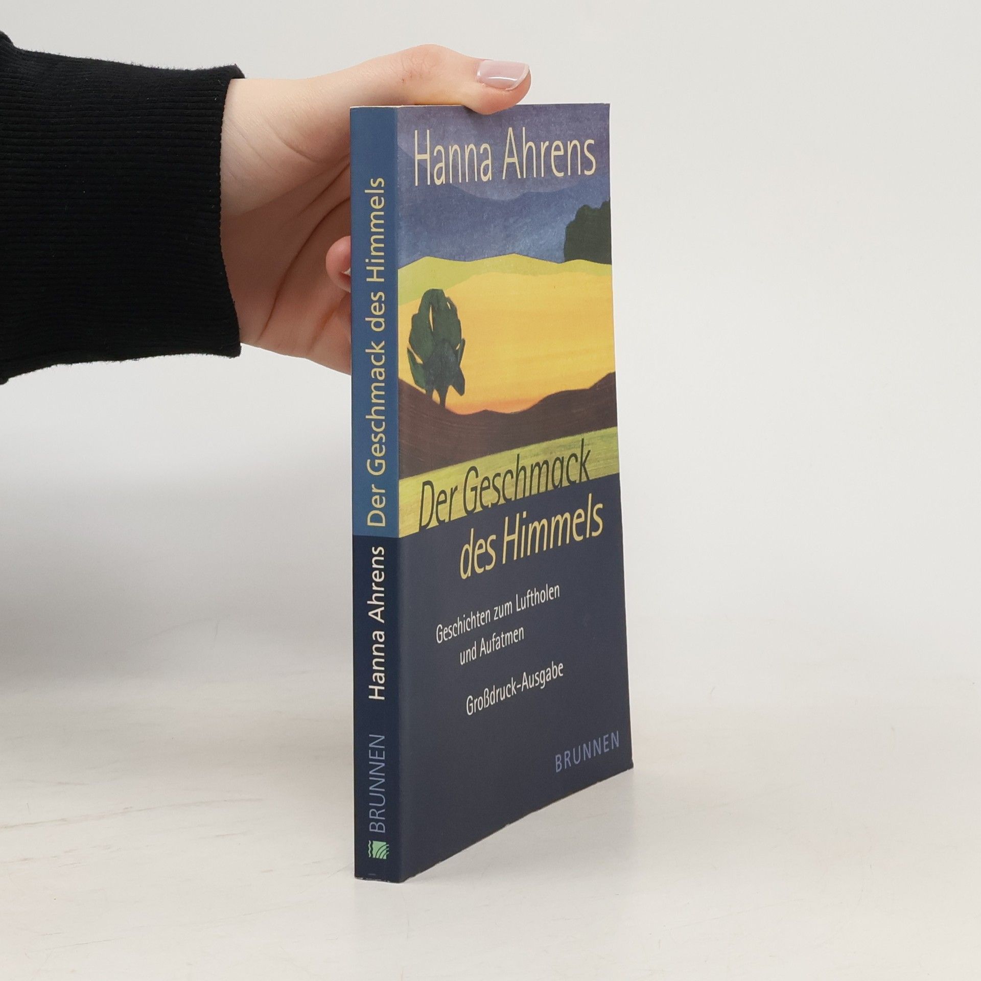 Hanna Ahrens Der Geschmack des Himmels. Geschichten zum Luftholen und Aufatmen. Grossdruckausgabe