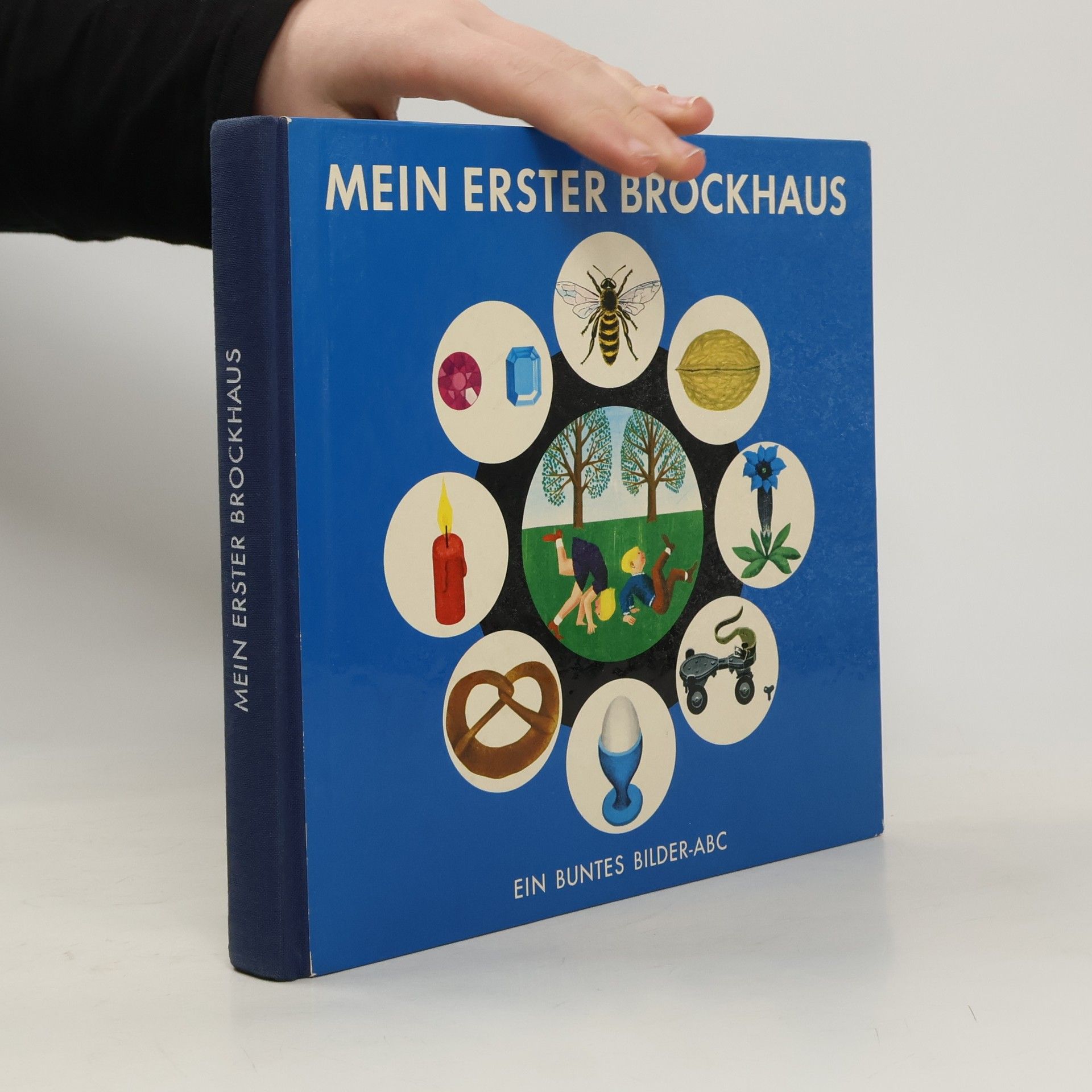 Auteurscollectief Mein erster Brockhaus. Ein buntes Bilder-ABC
