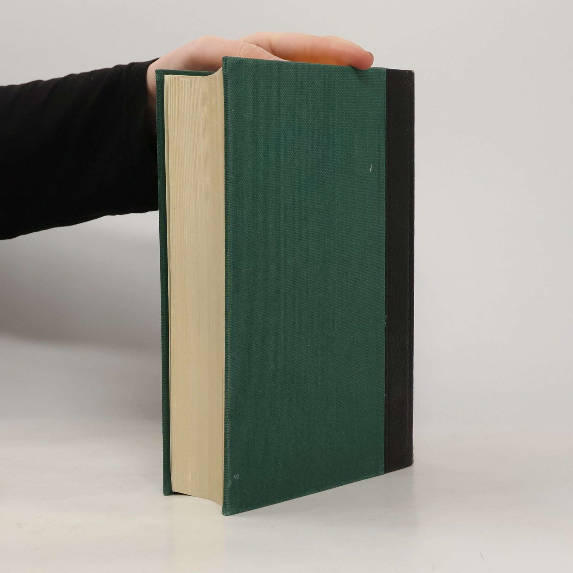 Autorenkollektiv Der grosse Brockhaus 9. Pas-Rim