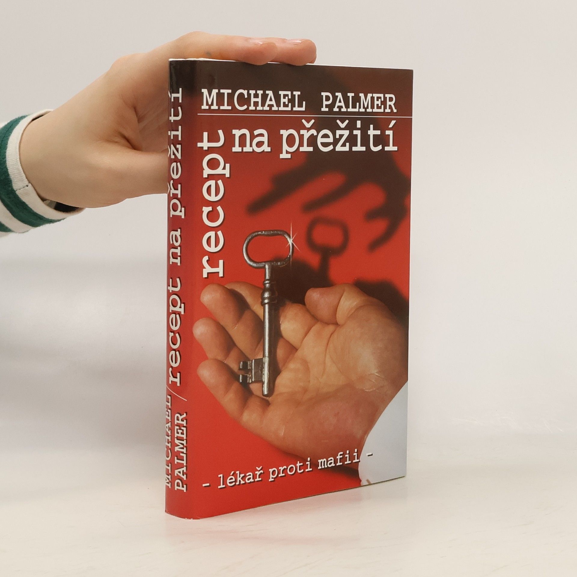 Michael Palmer Recept na přežití