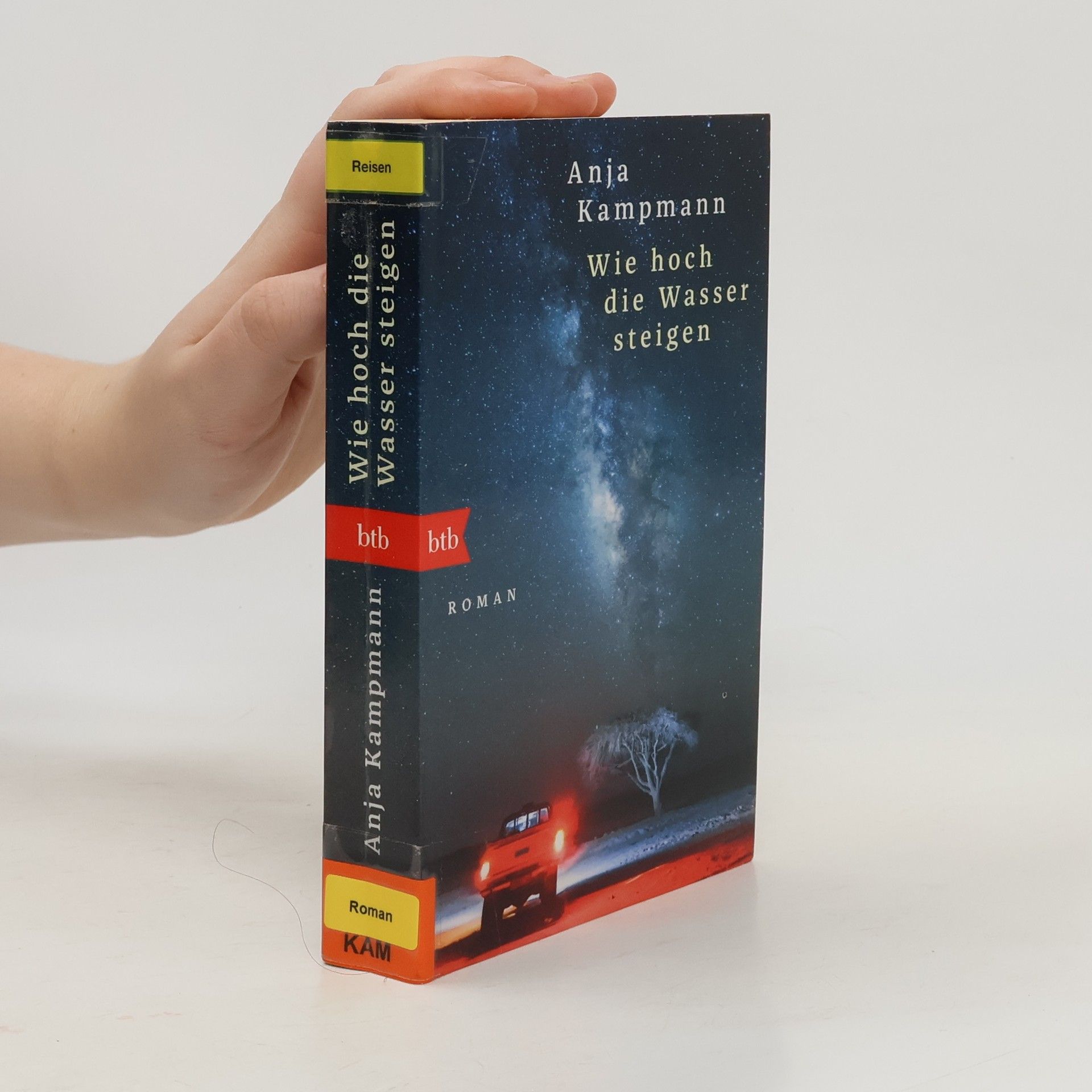 Anja Kampmann Wie hoch die Wasser steigen