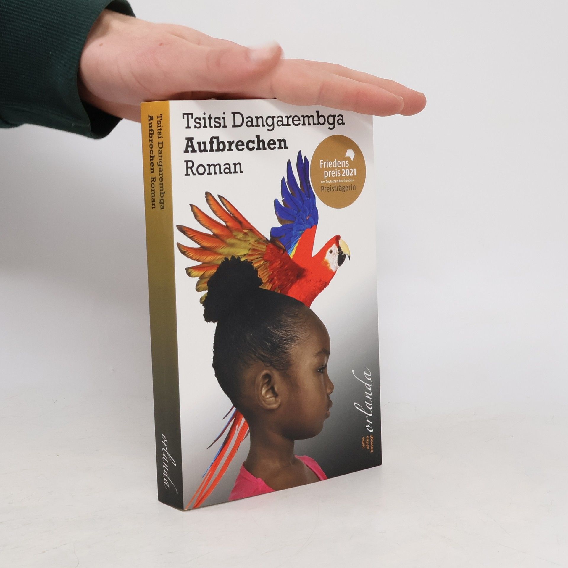 Tsitsi Dangarembga Aufbrechen