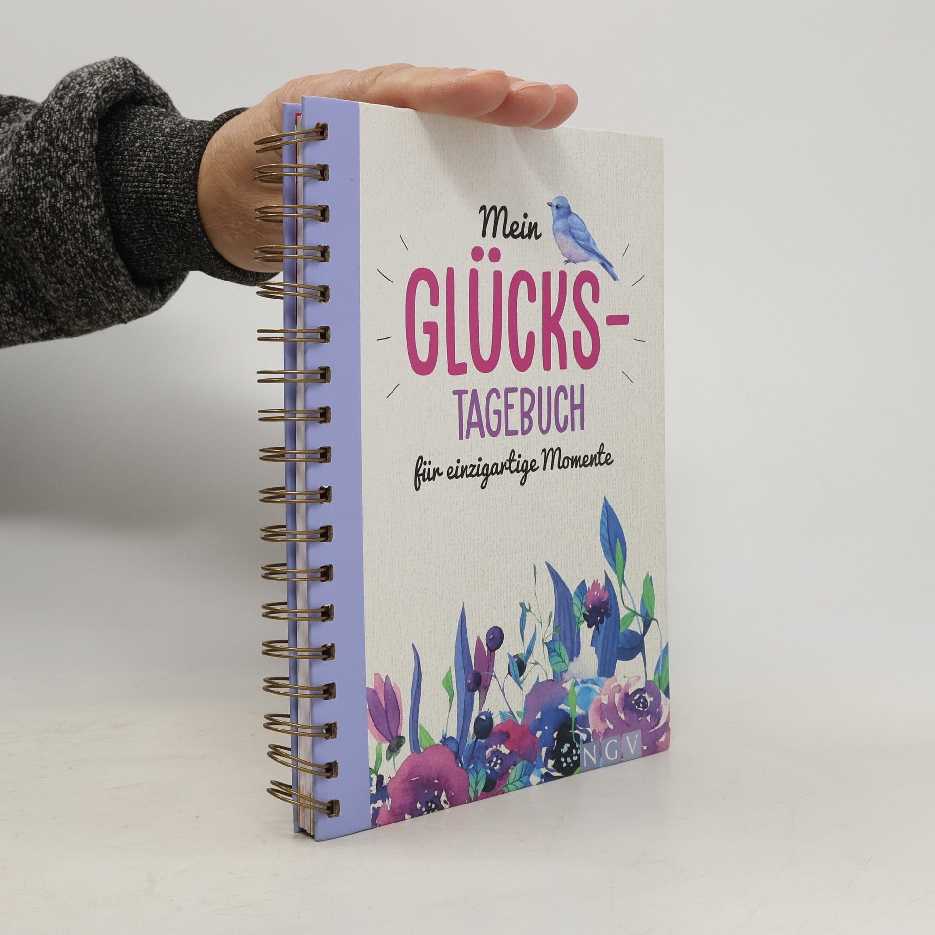 Kolektiv autorů Můj deník štěstí pro jedinečné okamžiky