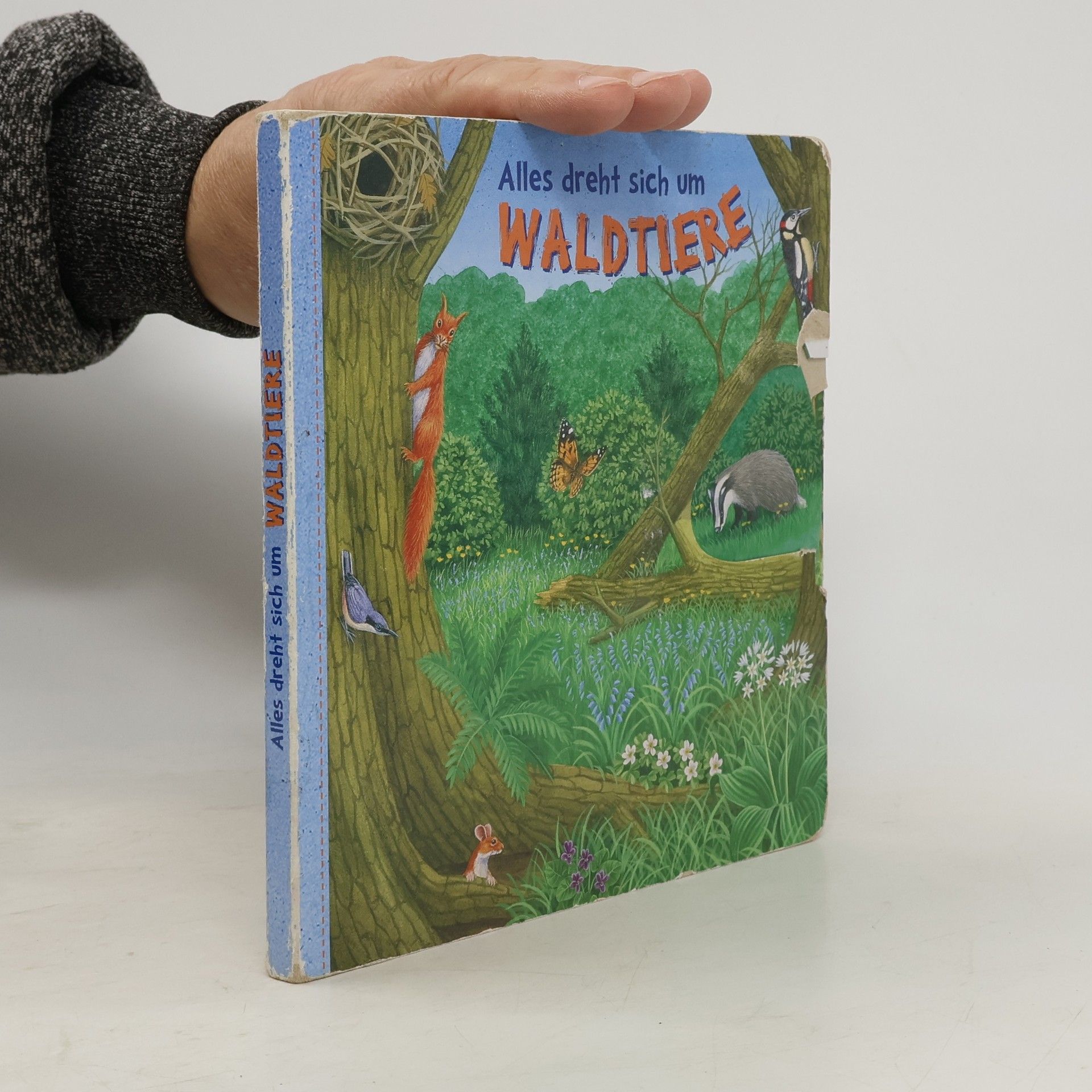 Autorenkollektiv Alles dreht sich um Waldtiere