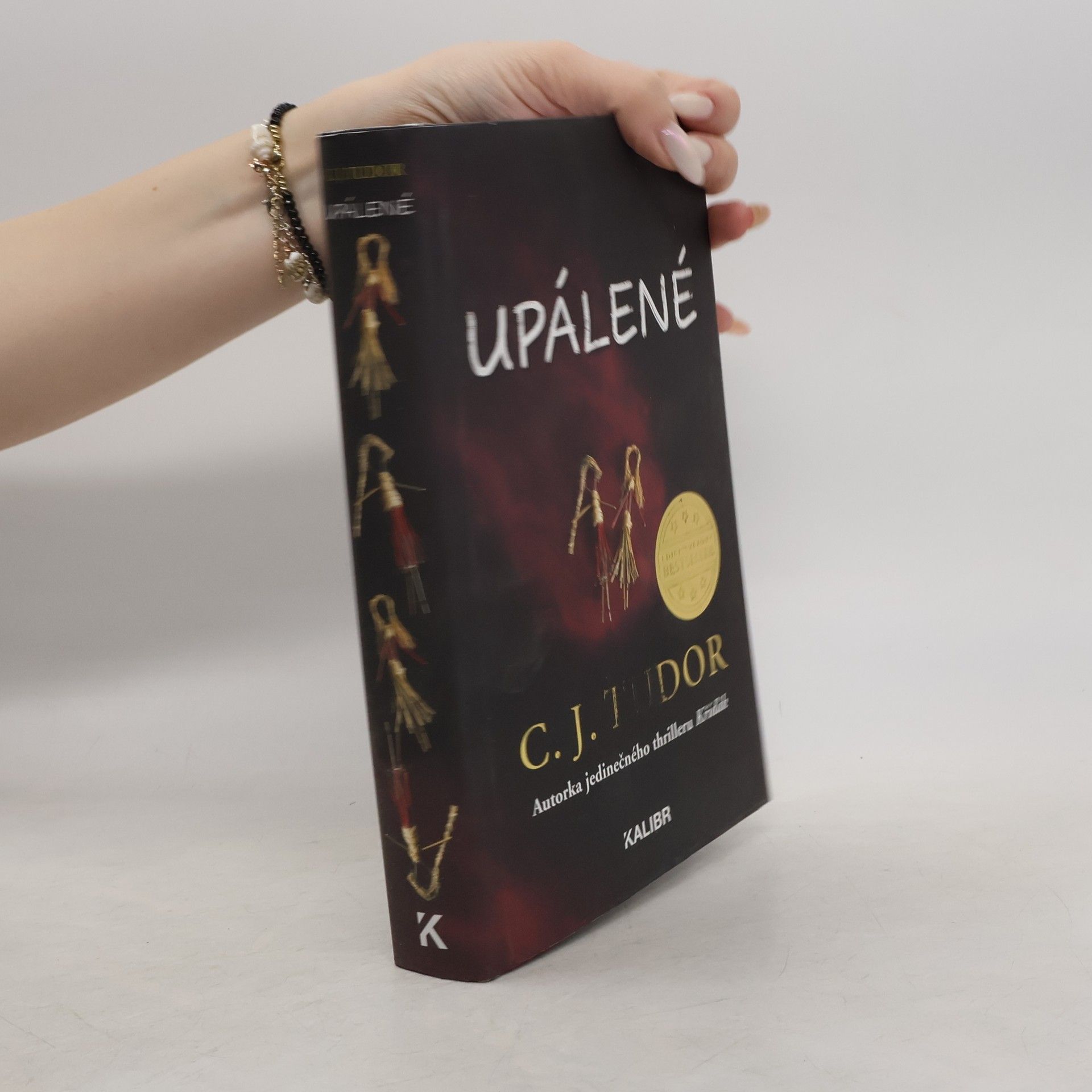 C. J. Tudor Upálené
