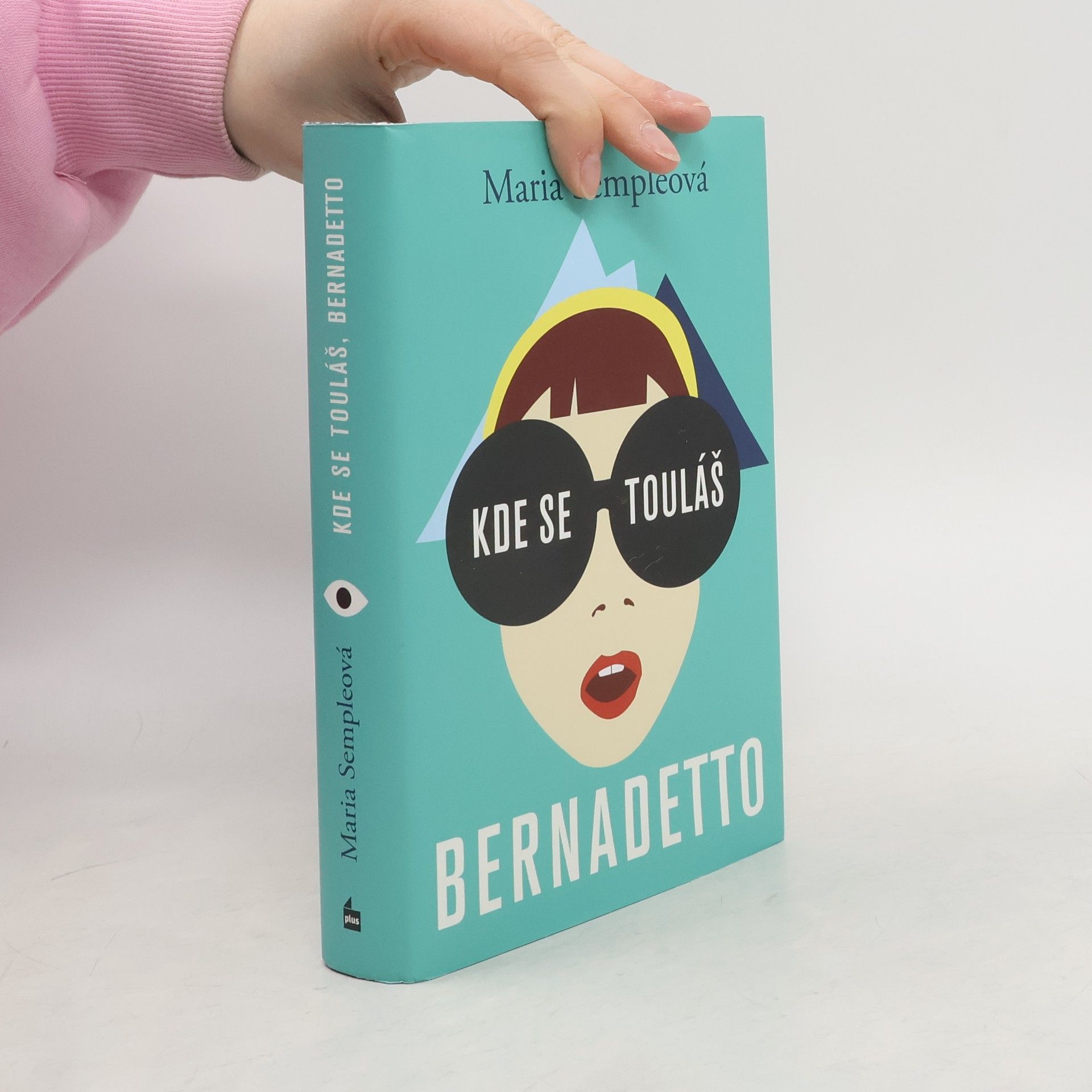 Maria Semple Kde se touláš, Bernadetto