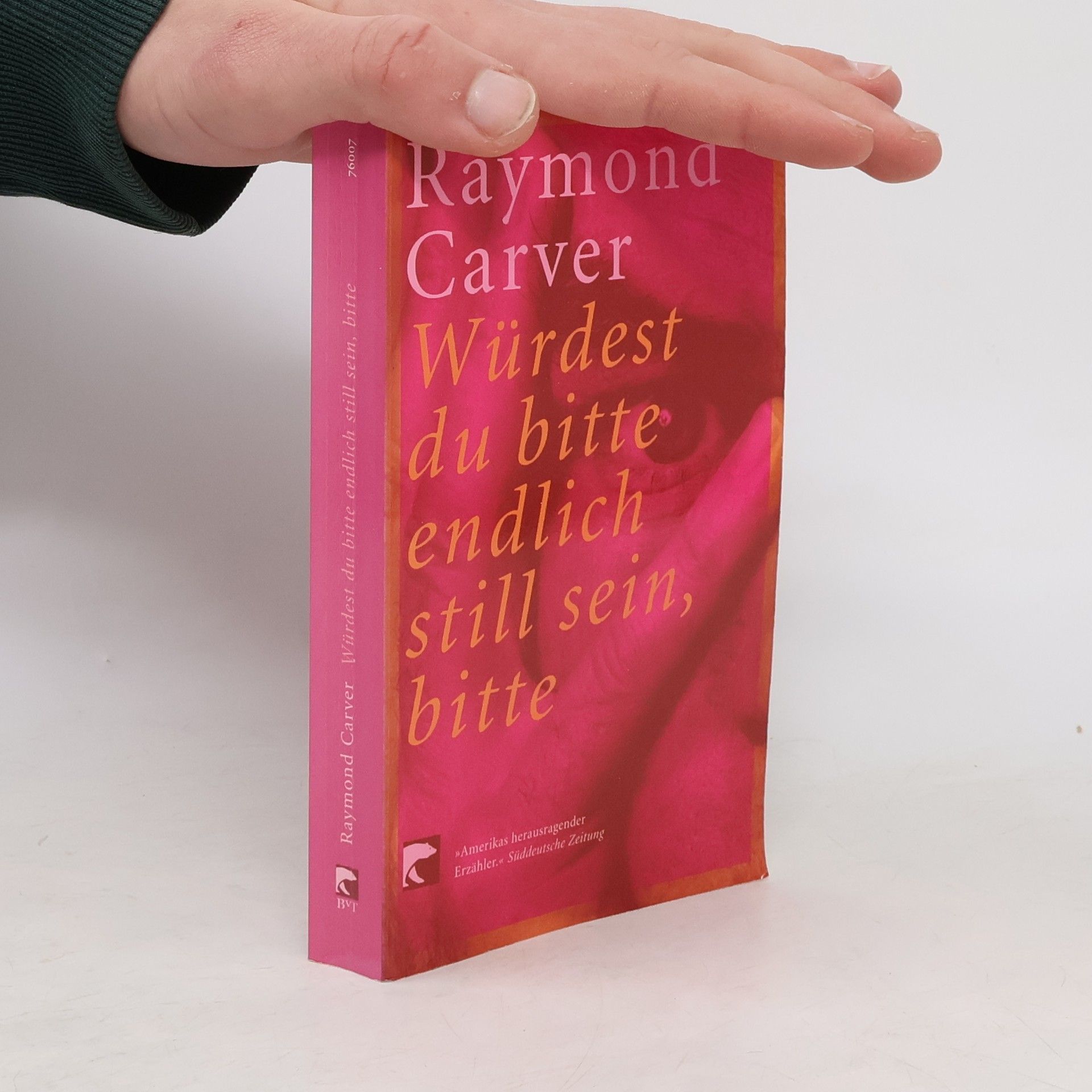 Raymond Carver Würdest du bitte endlich still sein, bitte