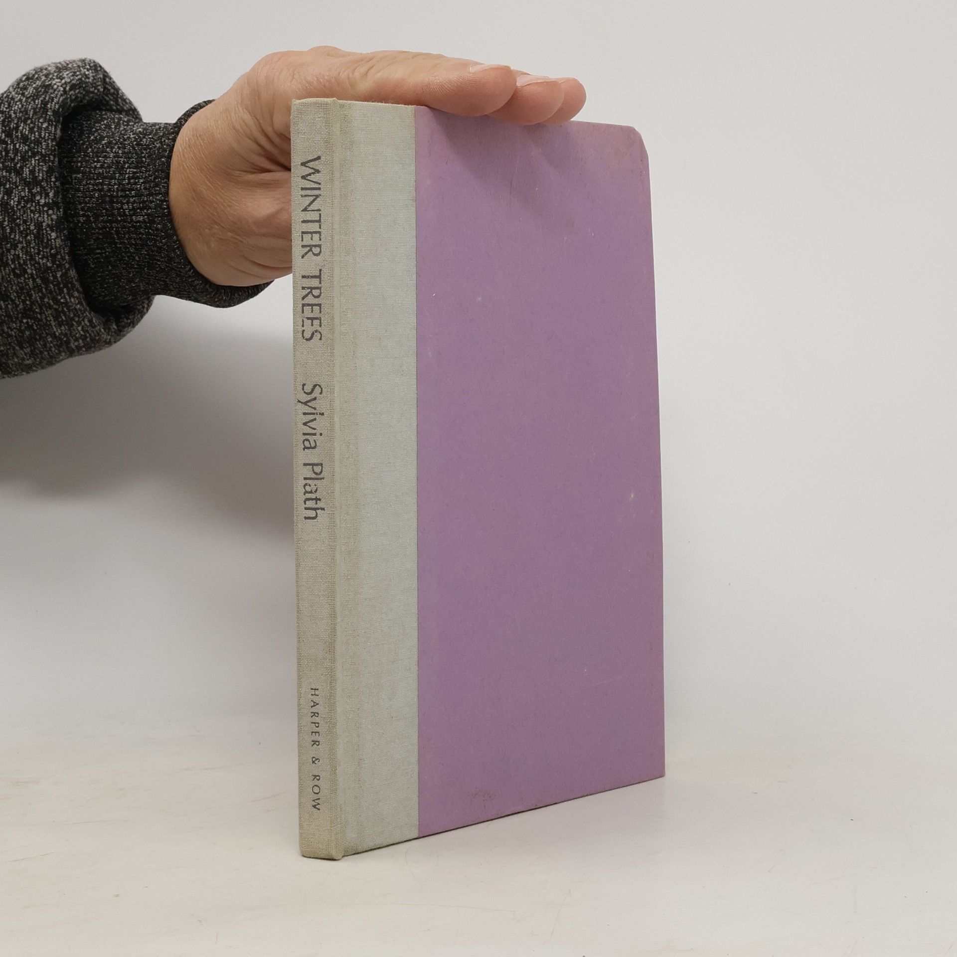 Sylvia Plath Winter Trees