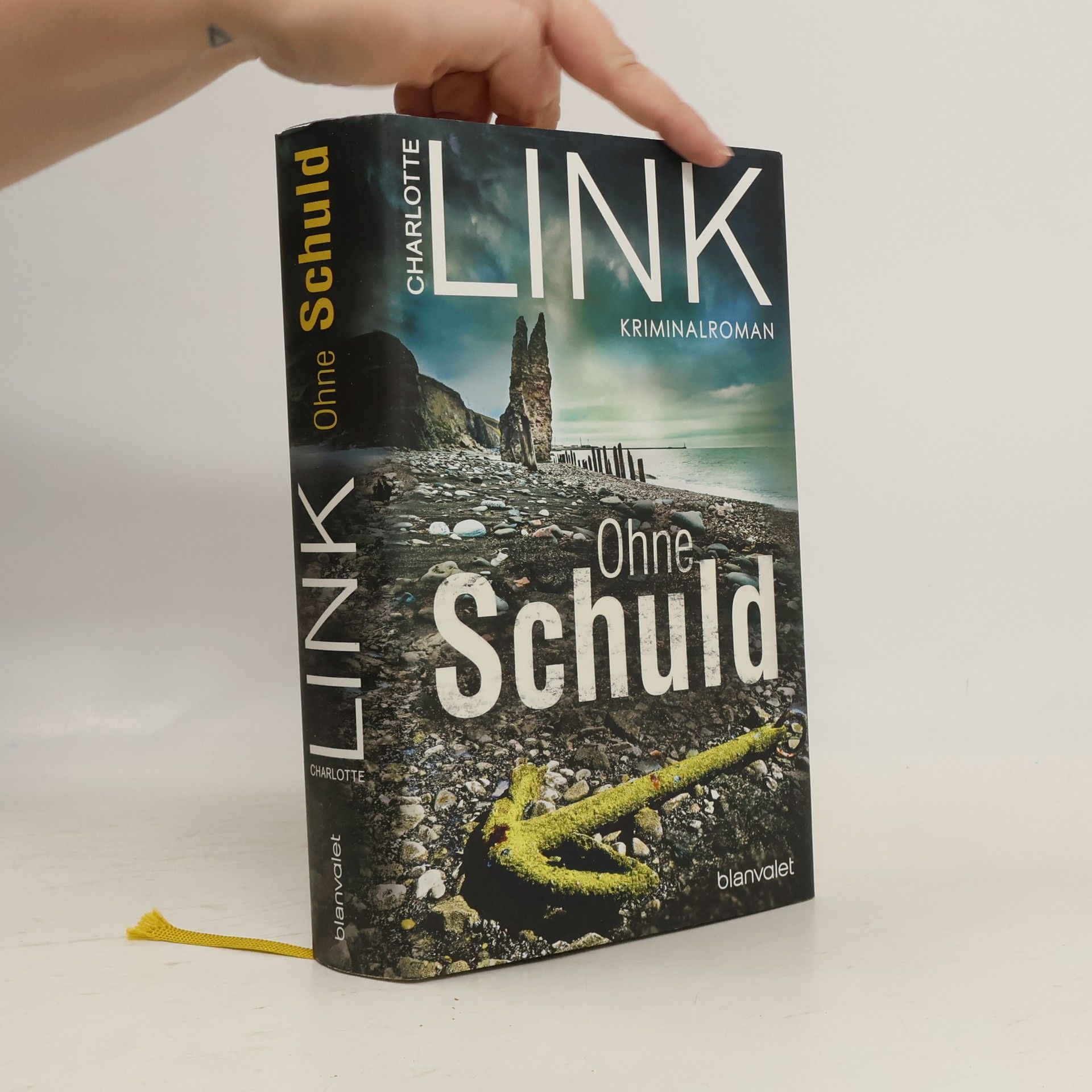 Charlotte Link Ohne Schuld