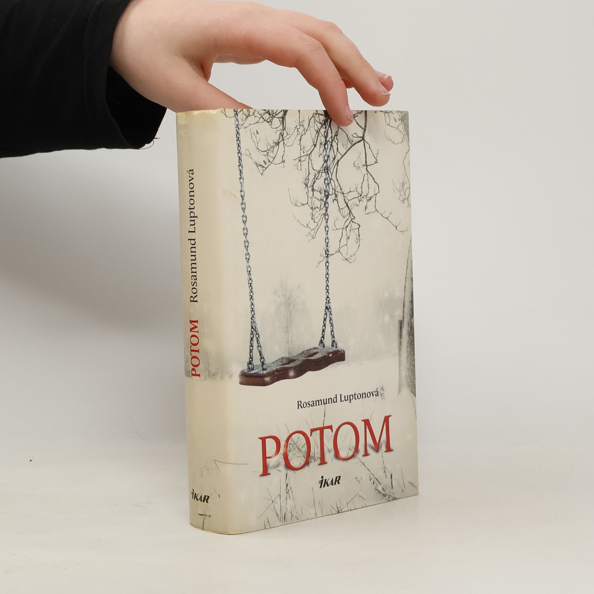 Rosamund Lupton Potom