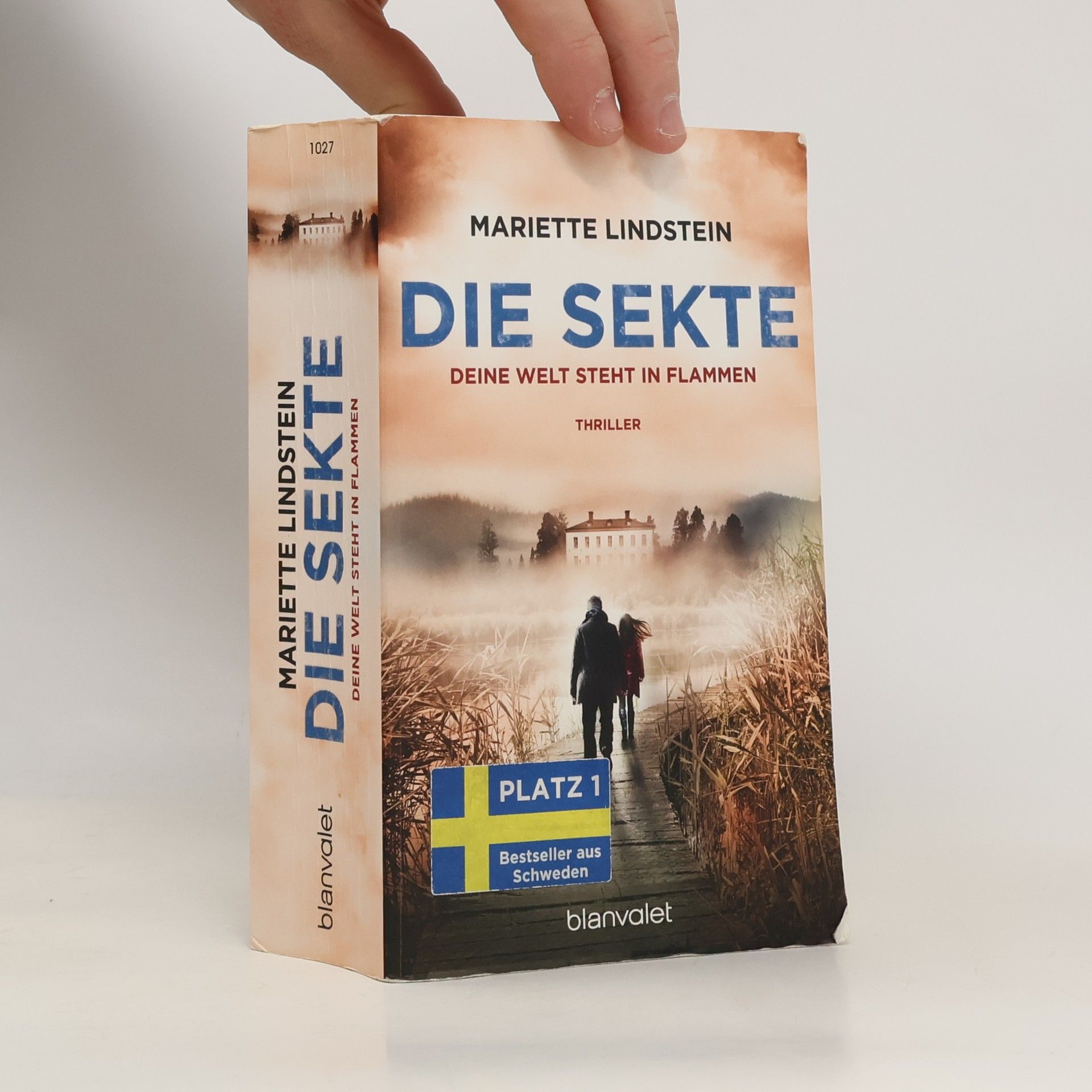 Mariette Lindstein Die Sekte: Deine Welt steht in Flammen