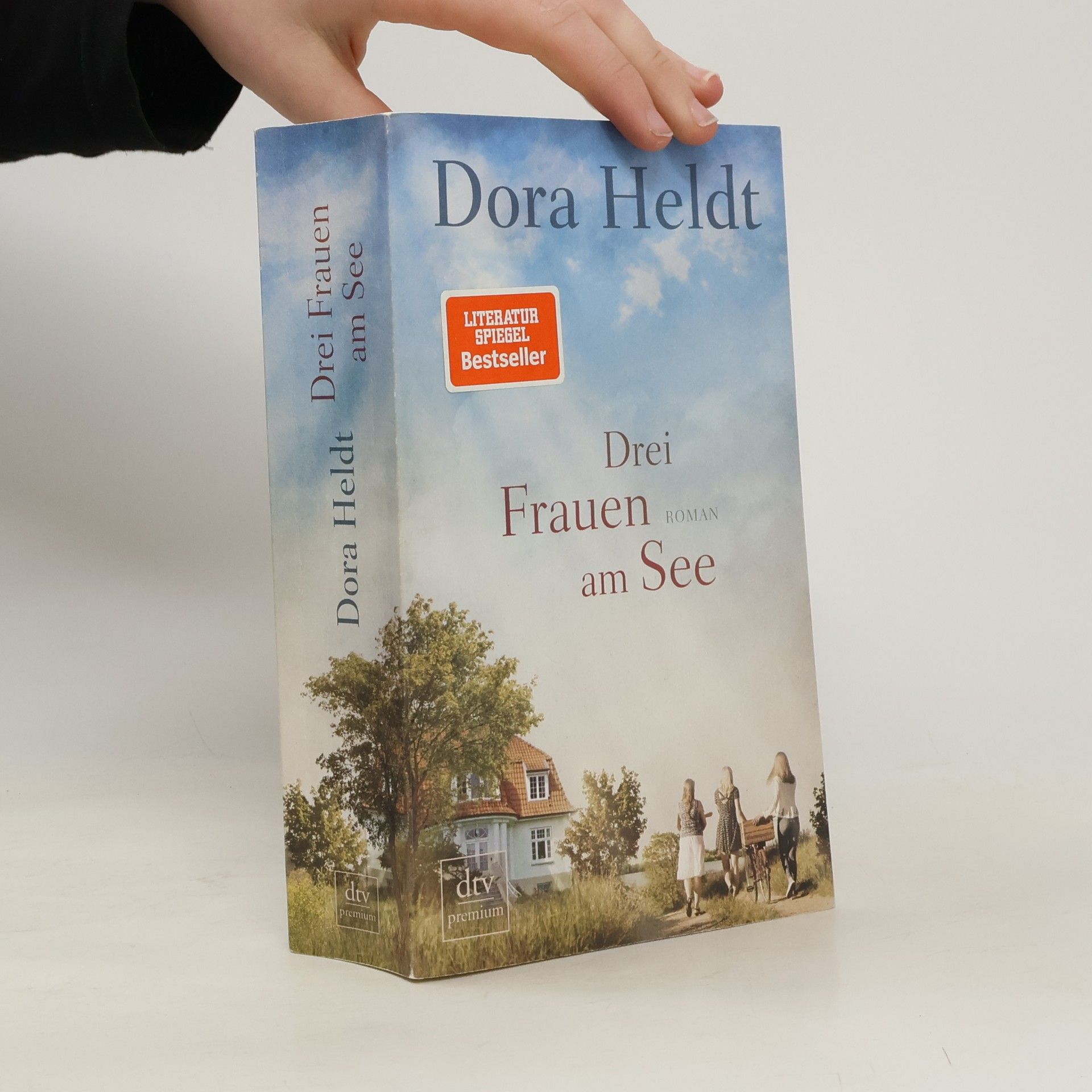 Dora Heldt Drei Frauen am See