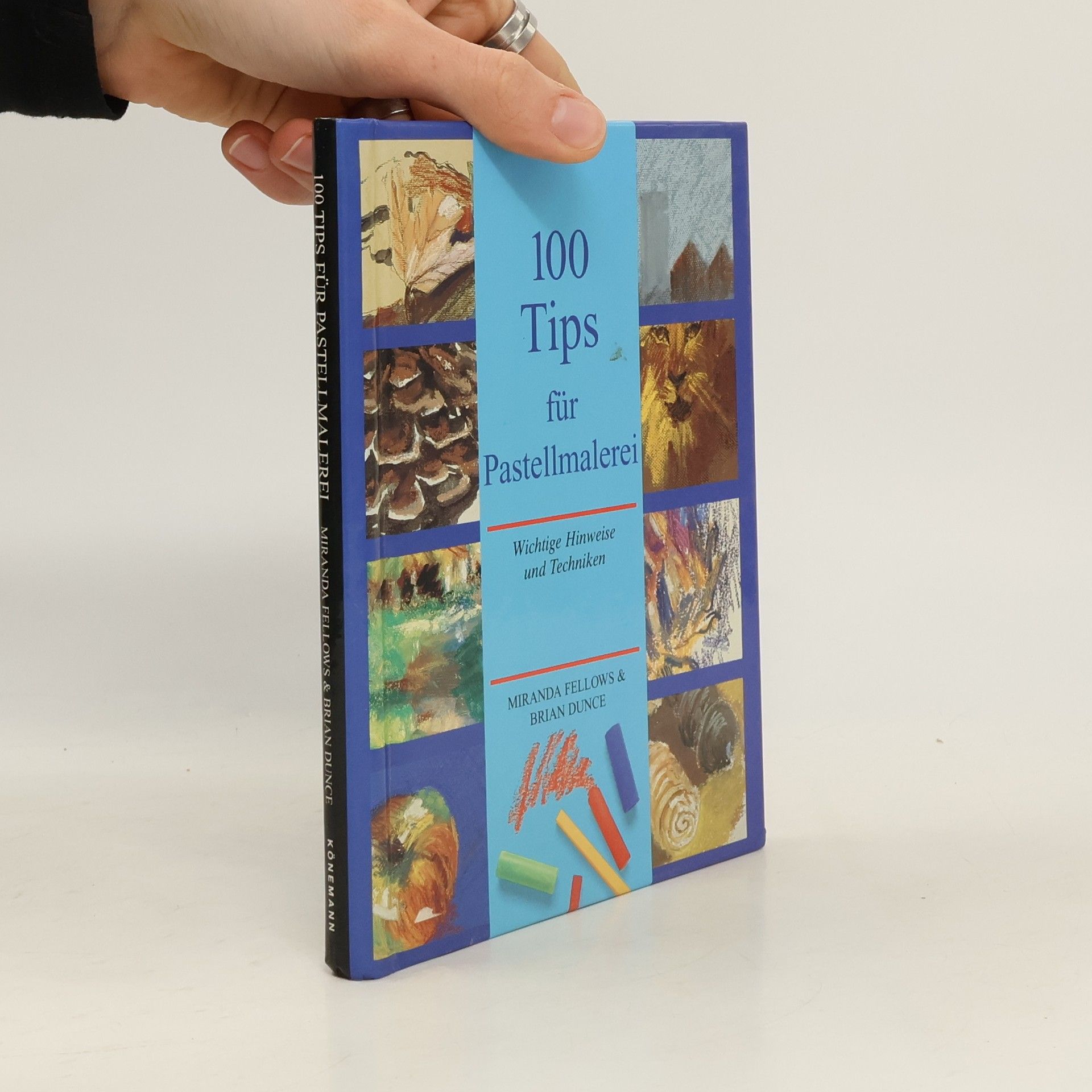 Miranda Fellows 100 Tips für Pastellmalerei