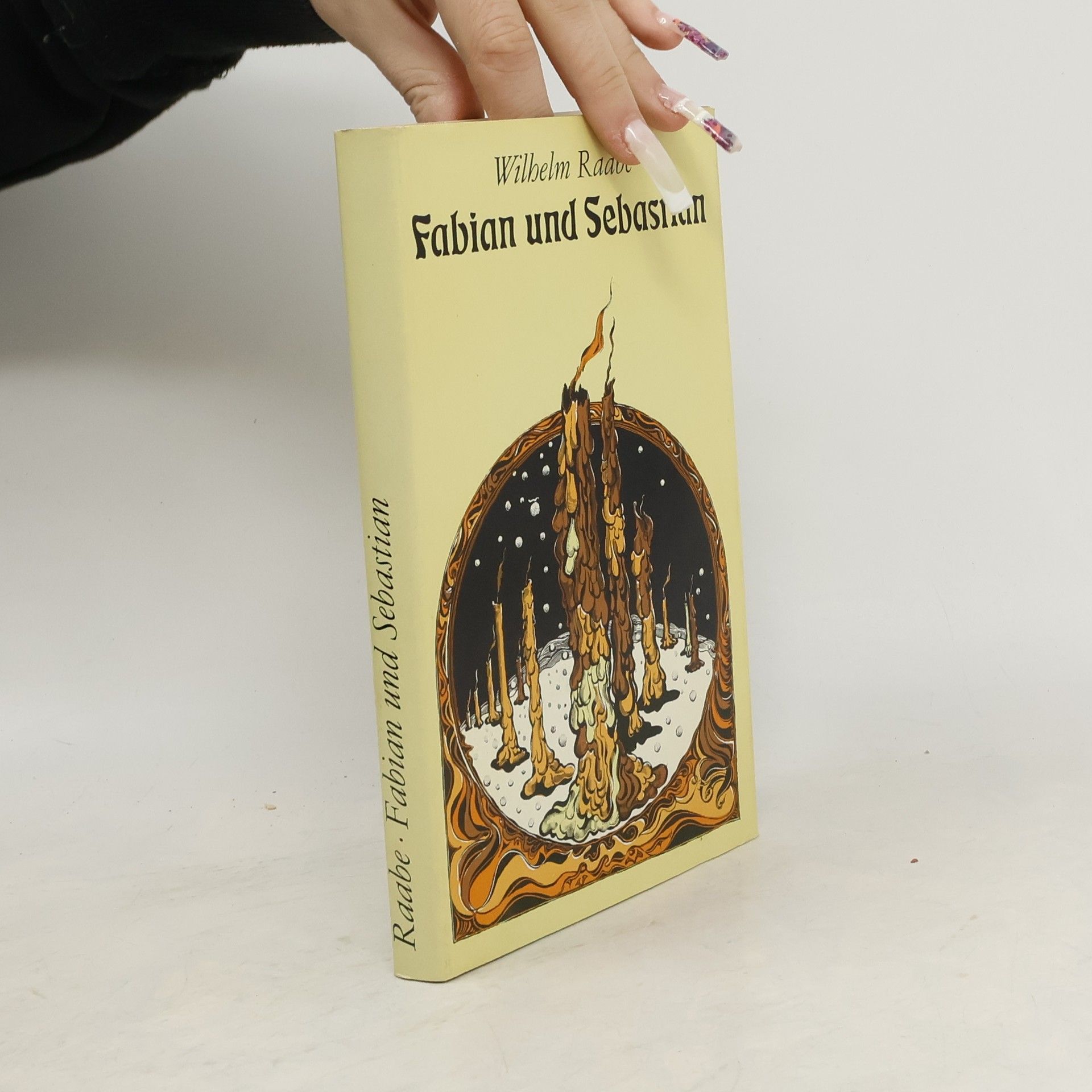 Wilhelm Raabe Fabian und Sebastian