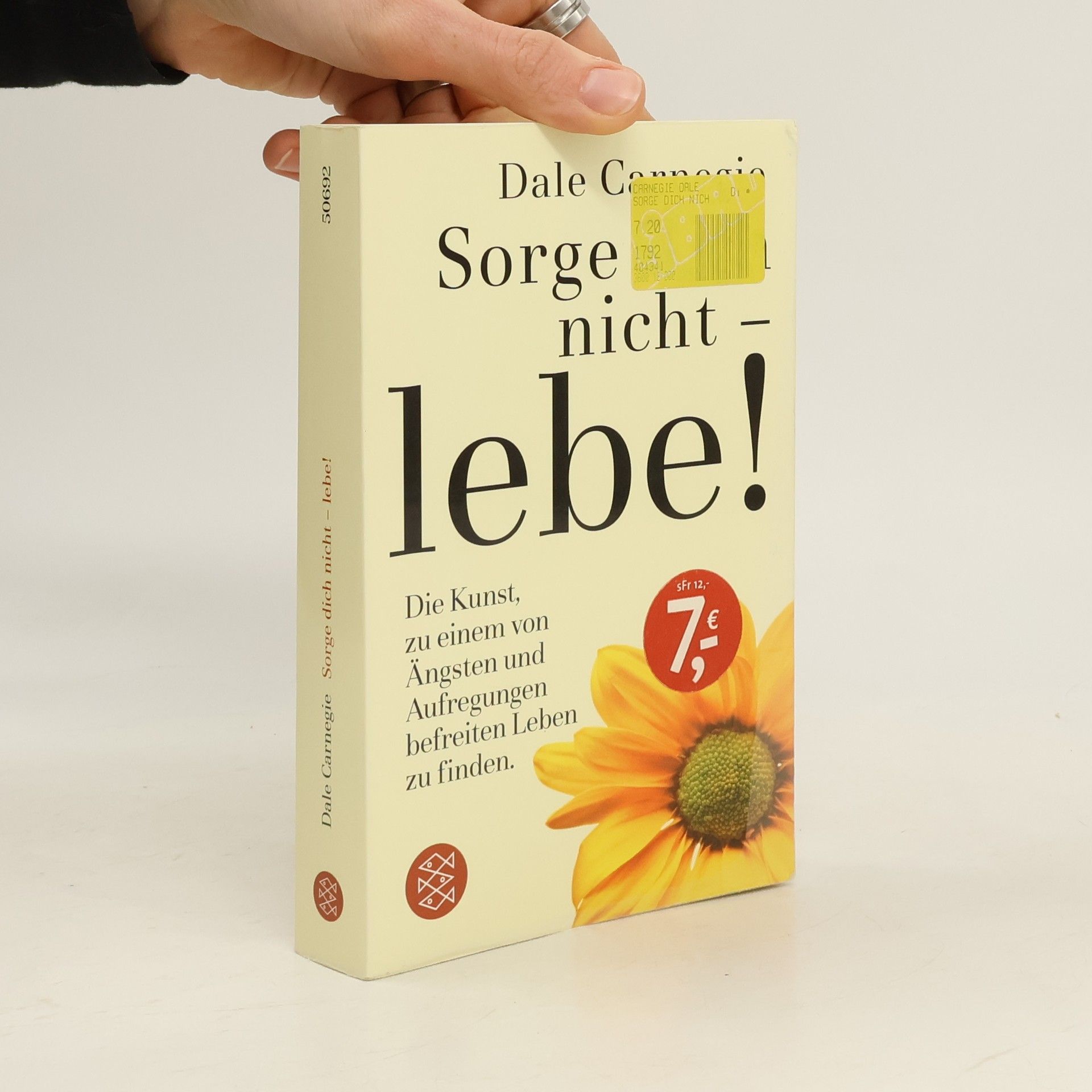 Dale Carnegie Sorge dich nicht - lebe!