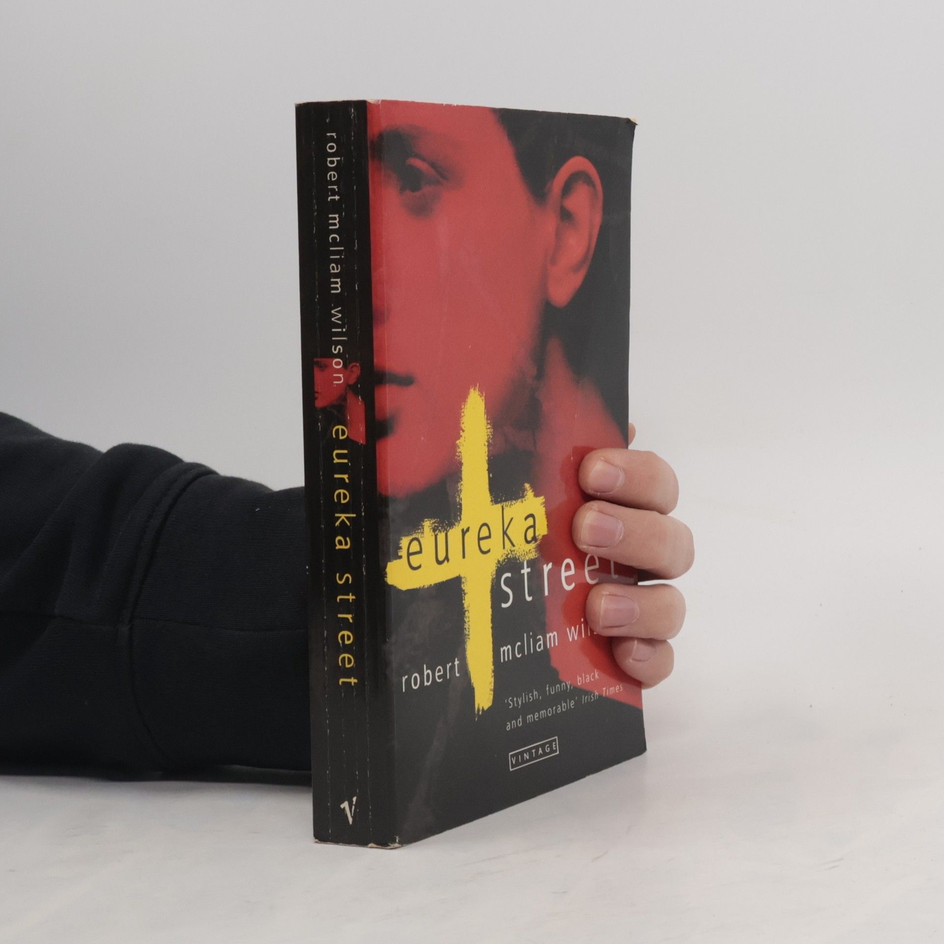 Robert McLiam Wilson Eureka Street