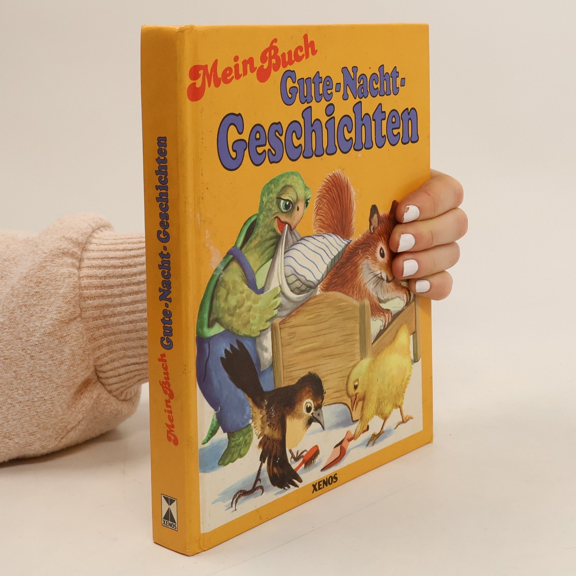 Kolektiv autorů Mein Buch Gute-Nacht-Geschichten