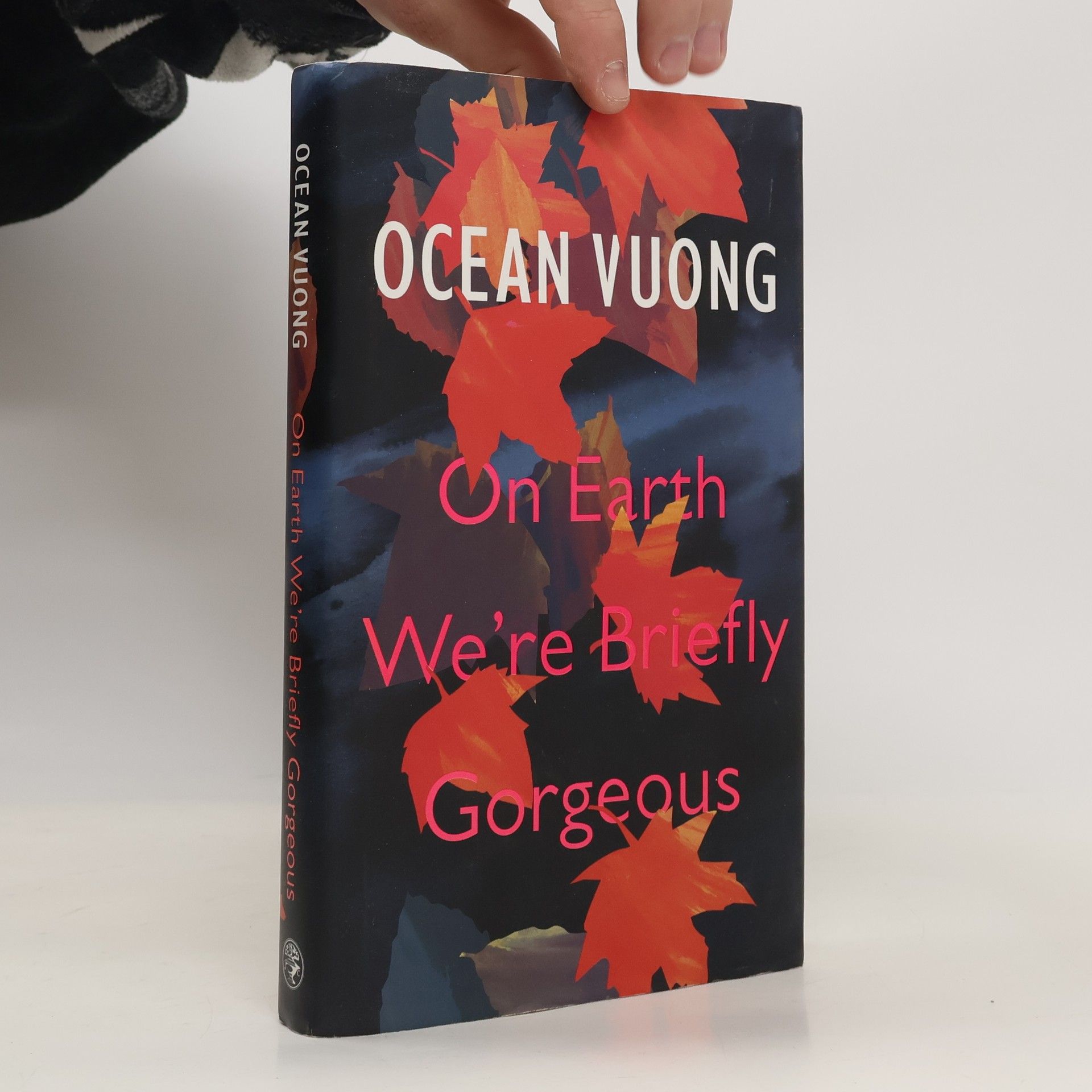Ocean Vuong On Earth we're briefly gorgeous