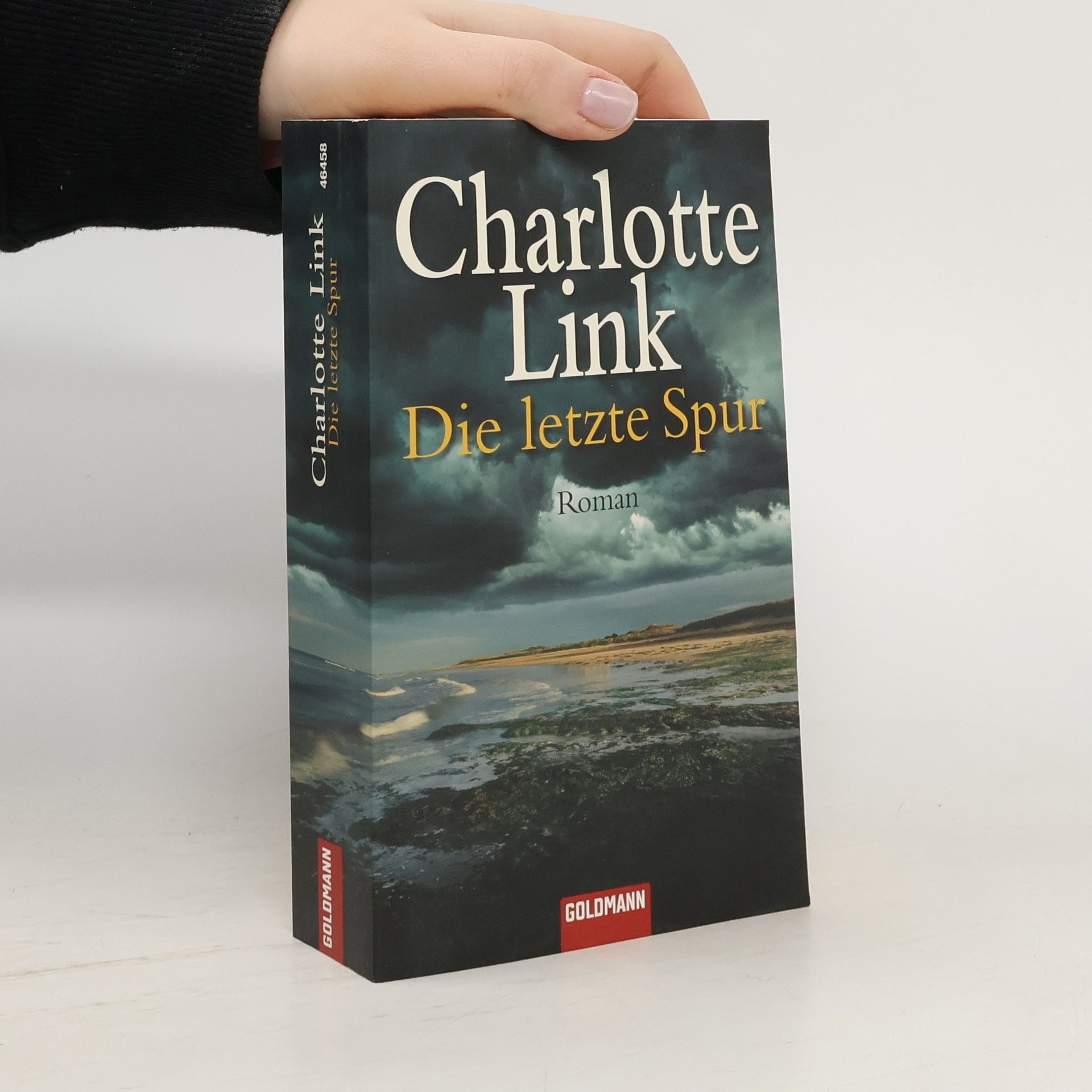 Charlotte Link Die letzte Spur
