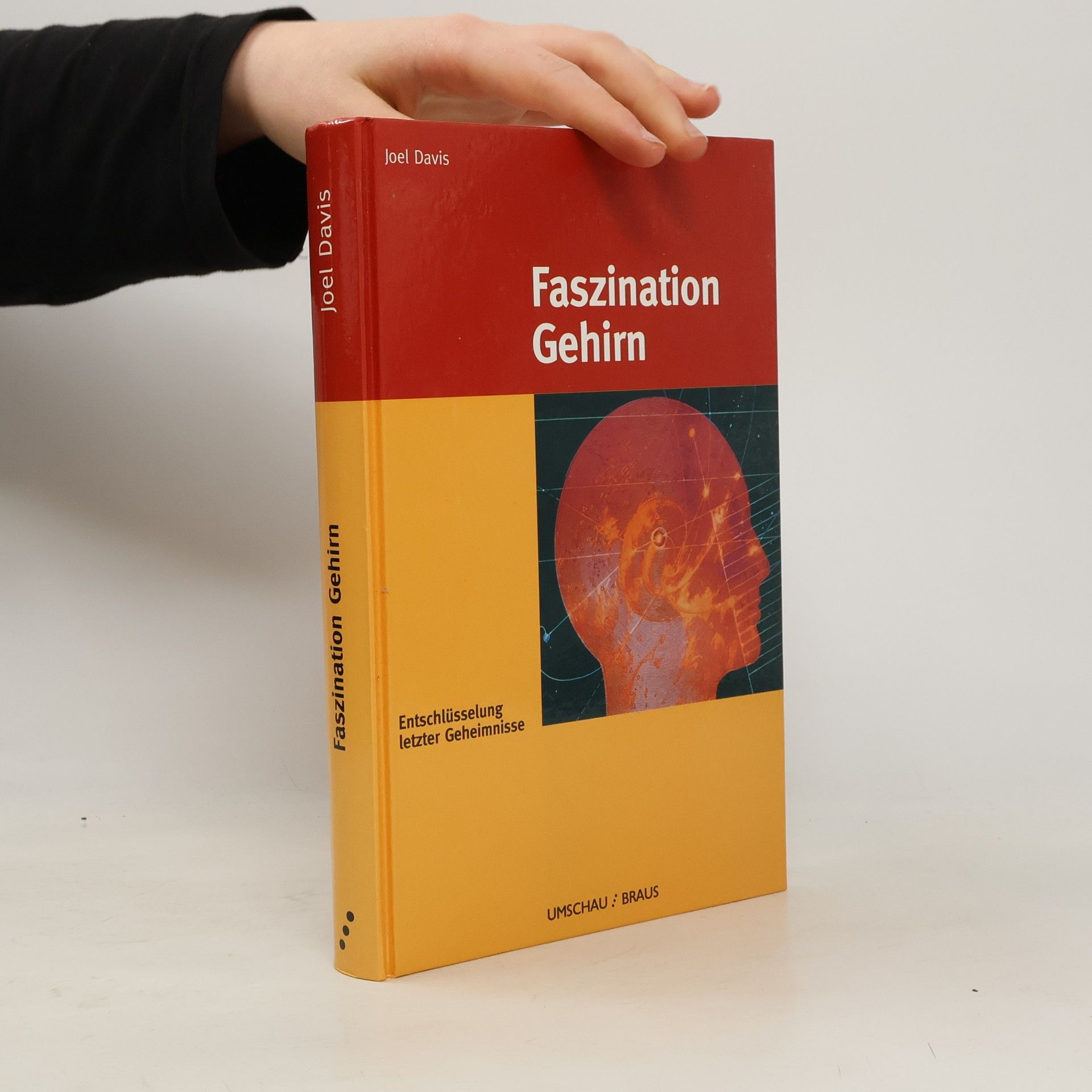 Faszination Gehirn