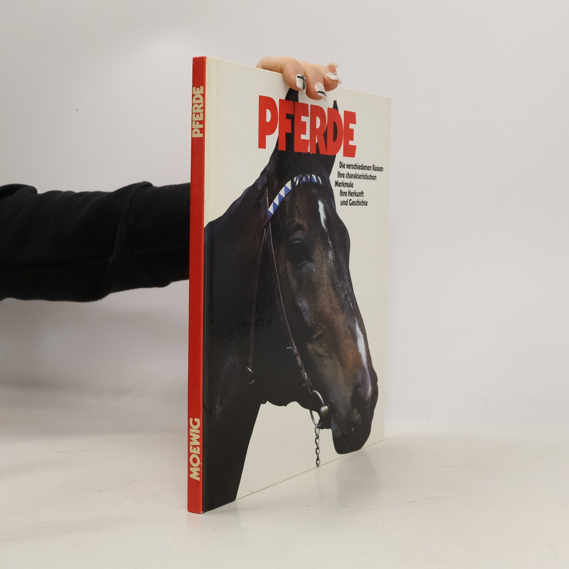 Autorenkollektiv Pferde