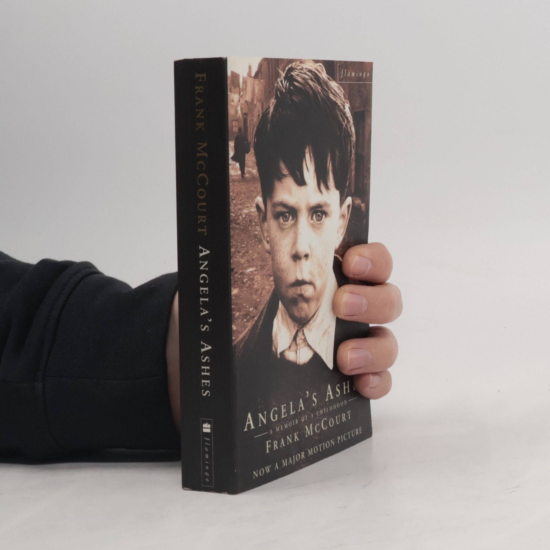 Frank McCourt Angela's Ashes