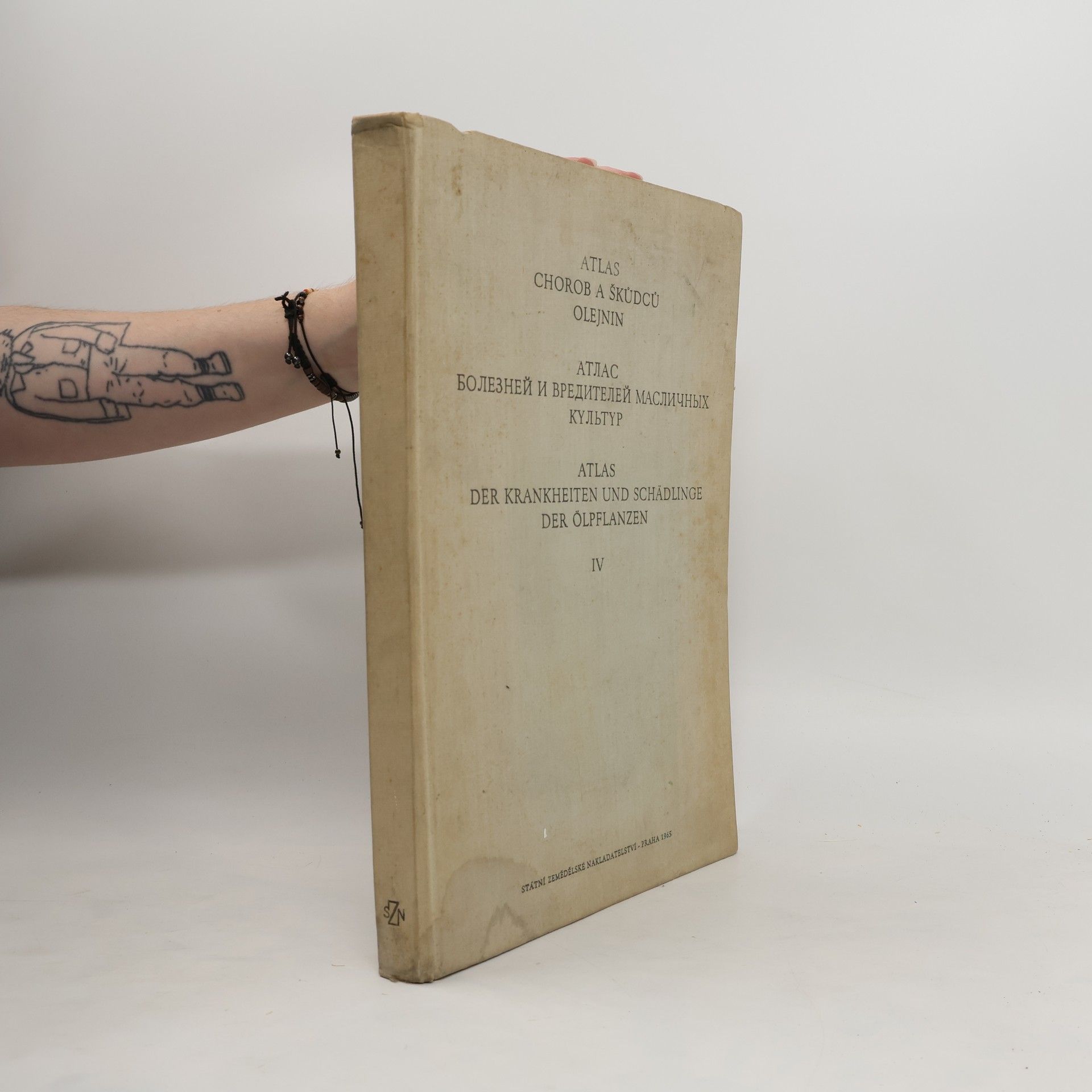 Autorenkollektiv Atlas chorob a škůdců olejnin IV