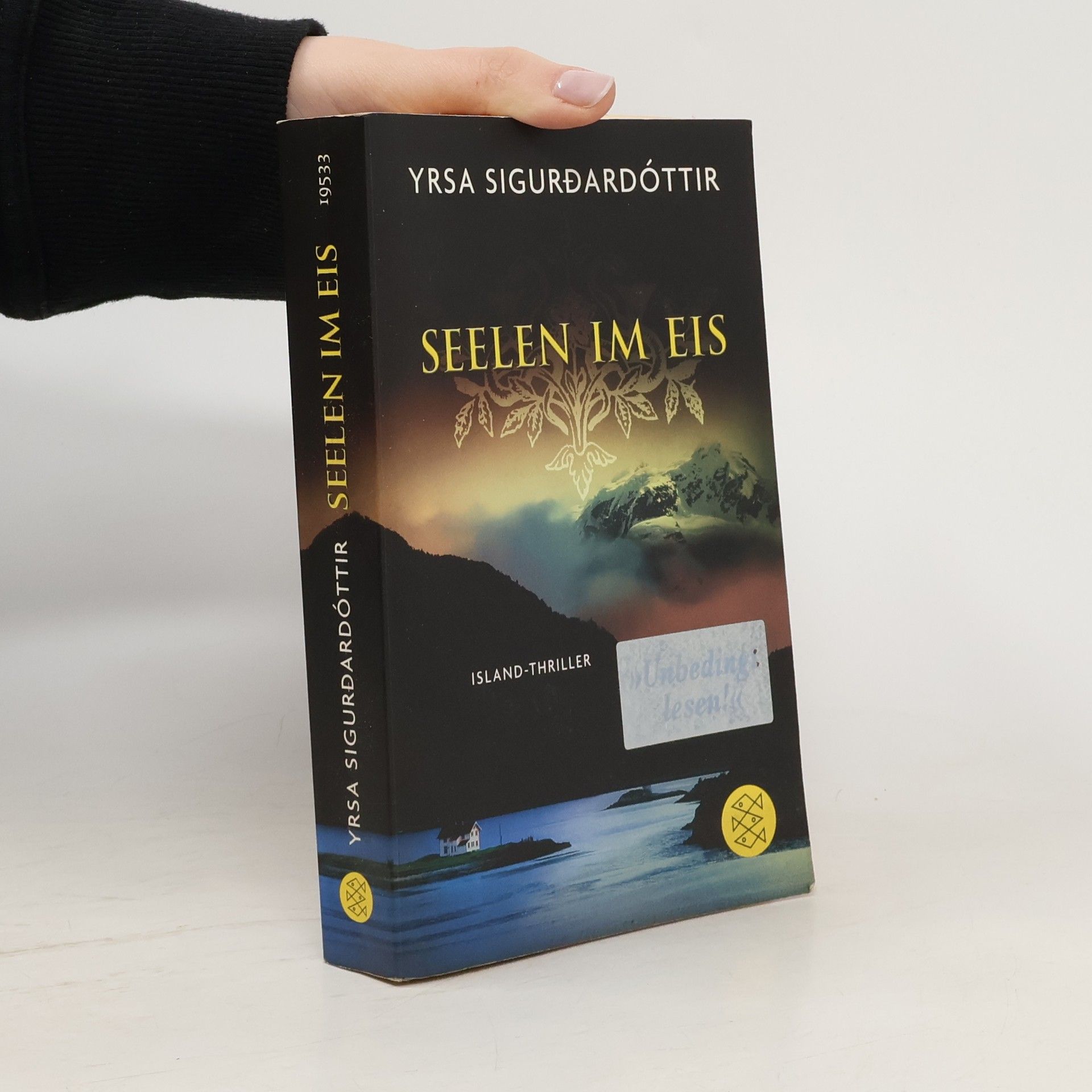 Yrsa Sigurðardóttir Seelen im Eis