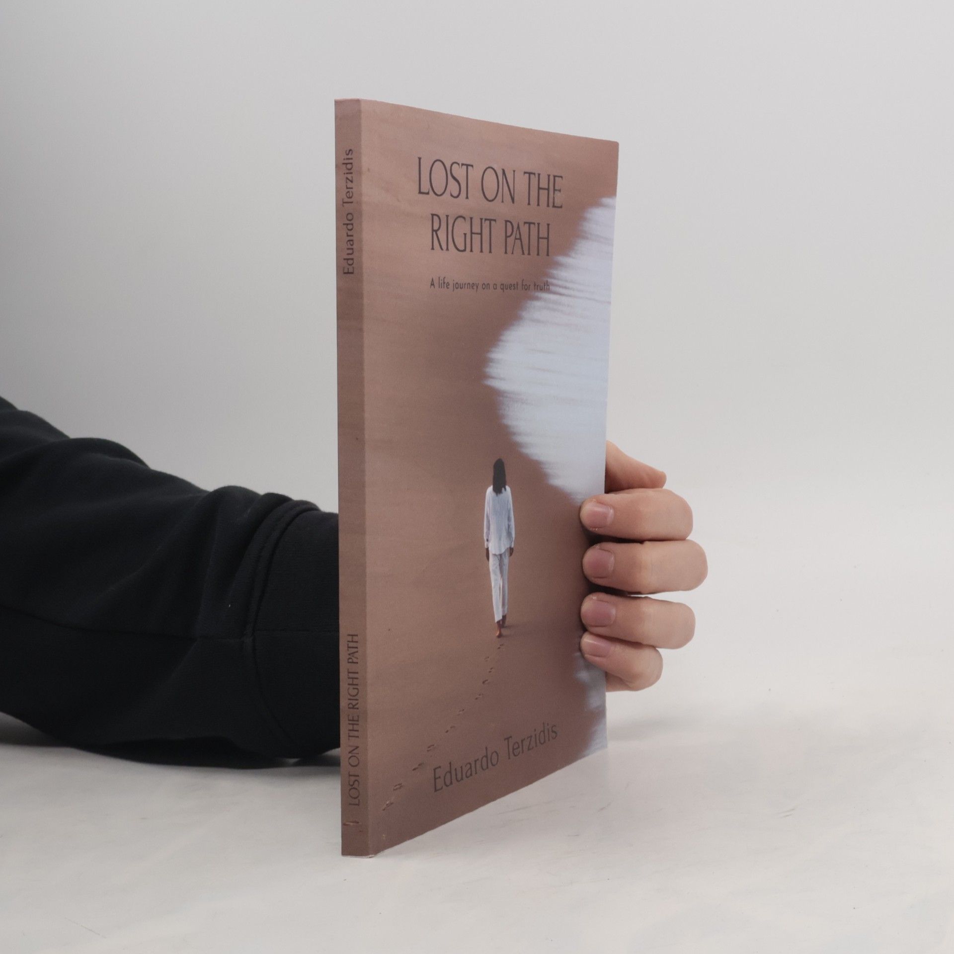 Eduardo Terzidis Lost on the Right Path