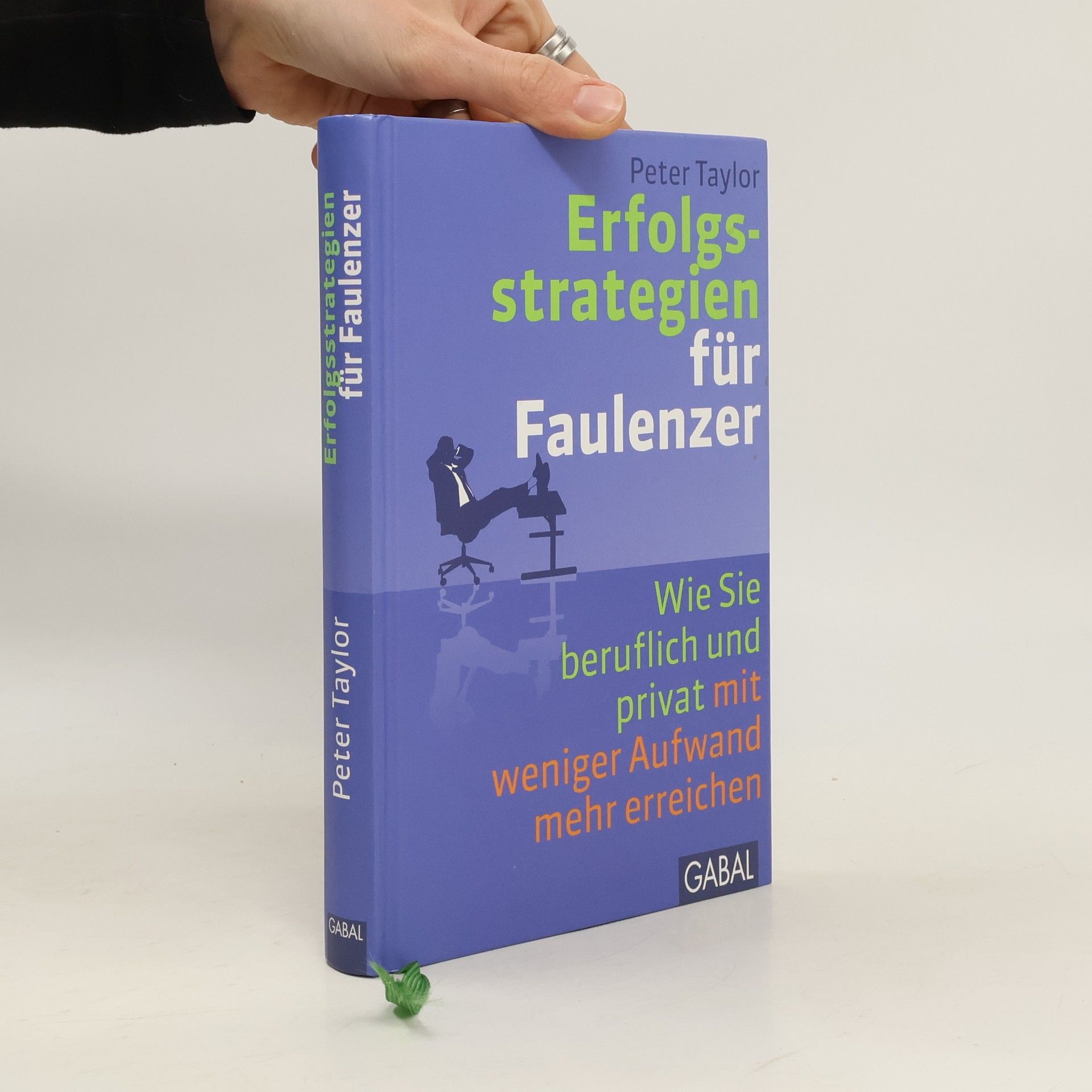 Peter Matthew Hillsman Taylor Erfolgsstrategien für Faulenzer