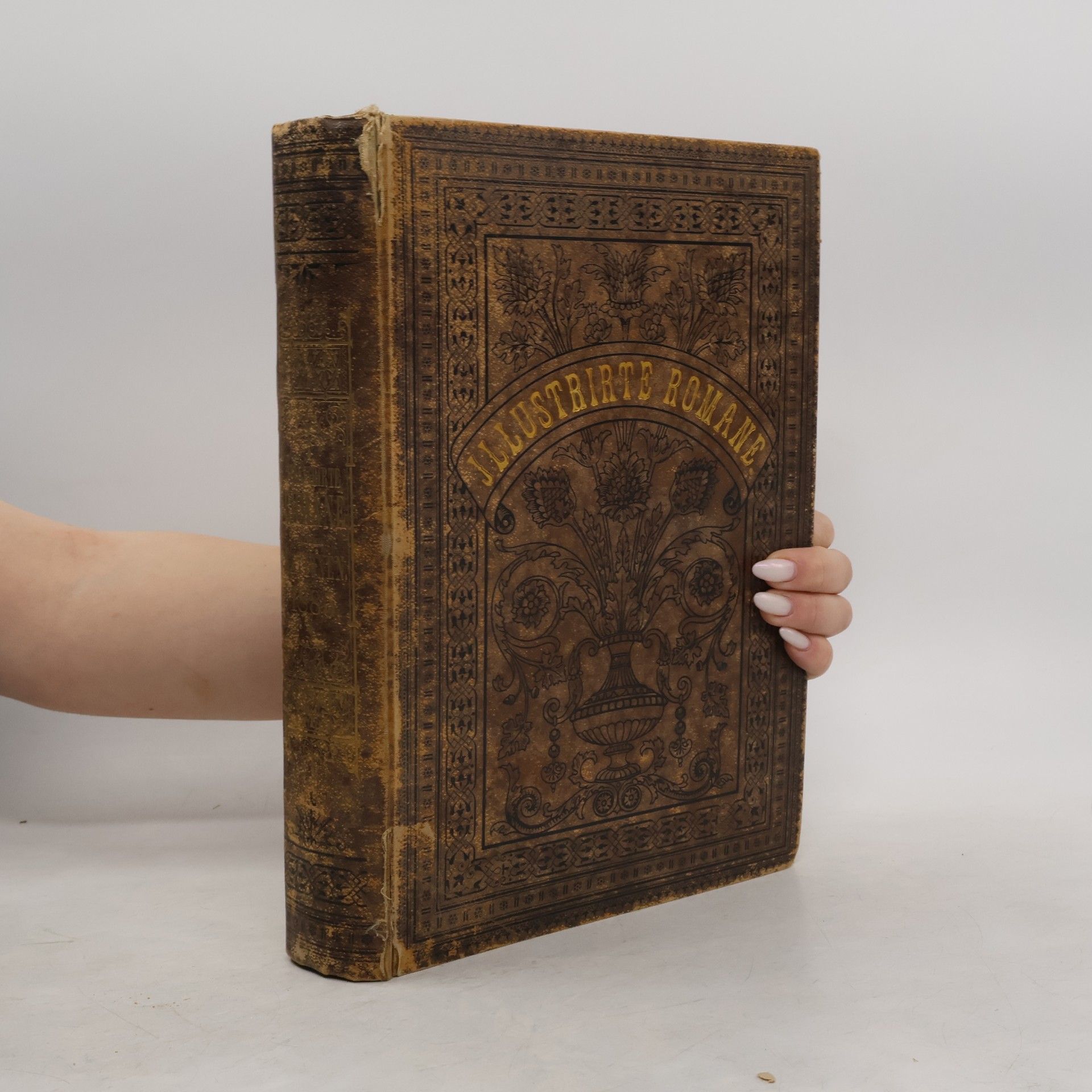 Autorenkollektiv Illustrirte Romane aller Nationen