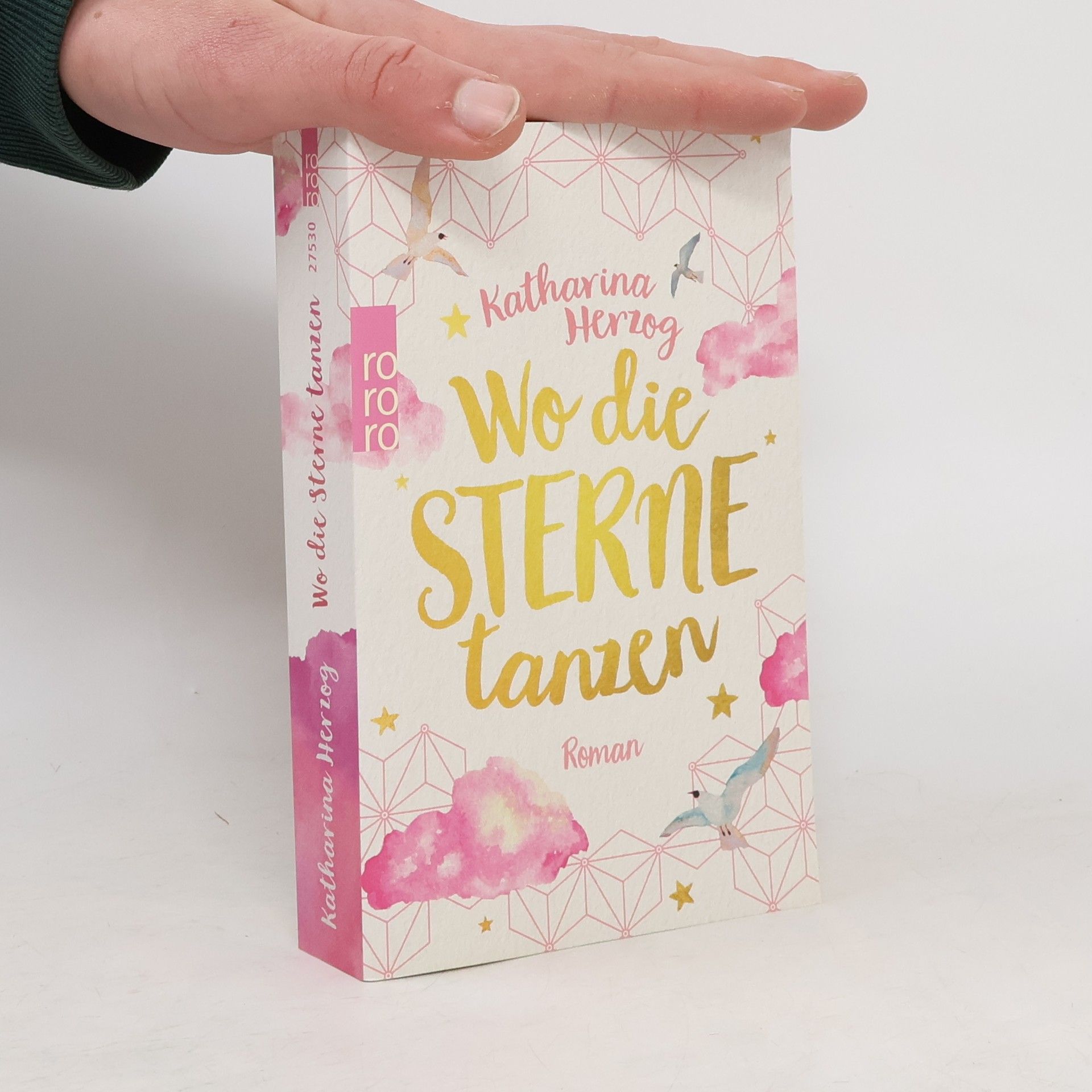 Irene-Katharina Herzog Wo die Sterne tanzen