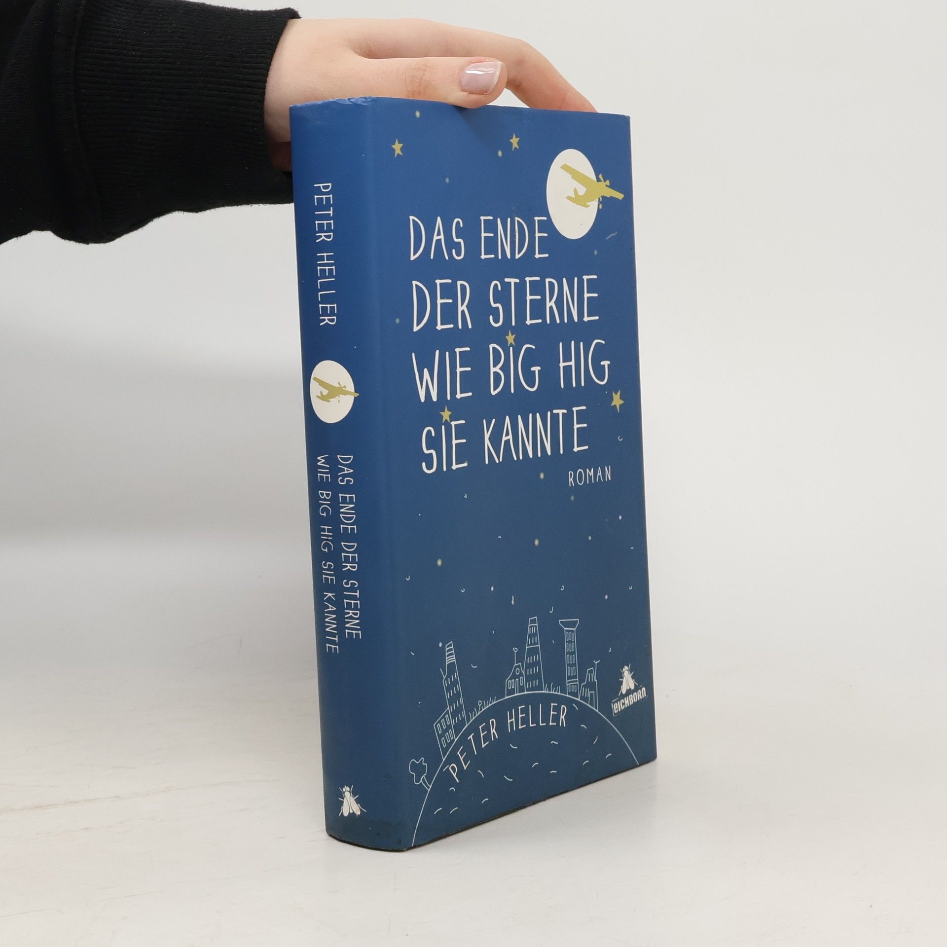 Peter Heller Das Ende der Sterne wie Big Hig sie kannte