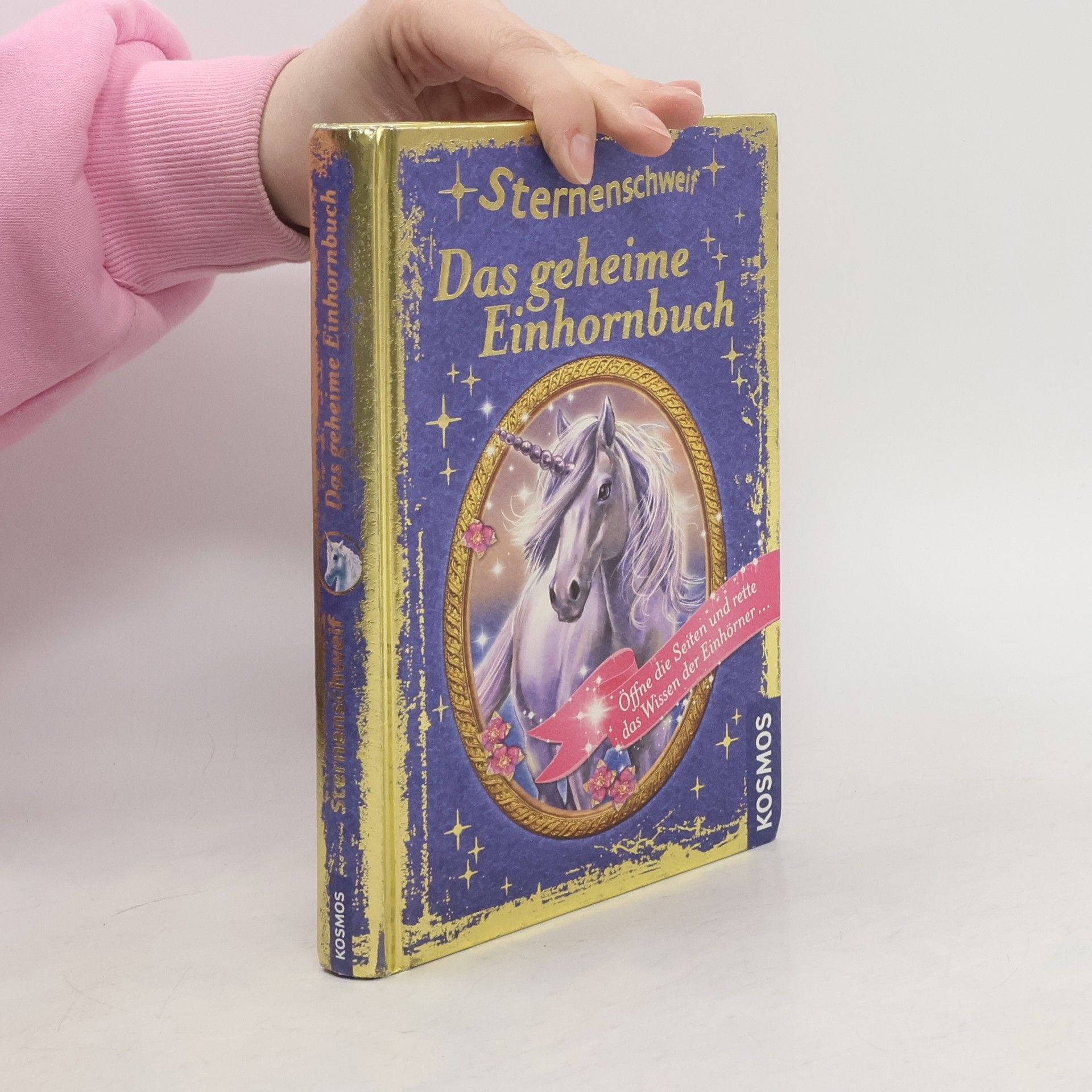 Anne Scheller Sternenschweif - das geheime Einhornbuch