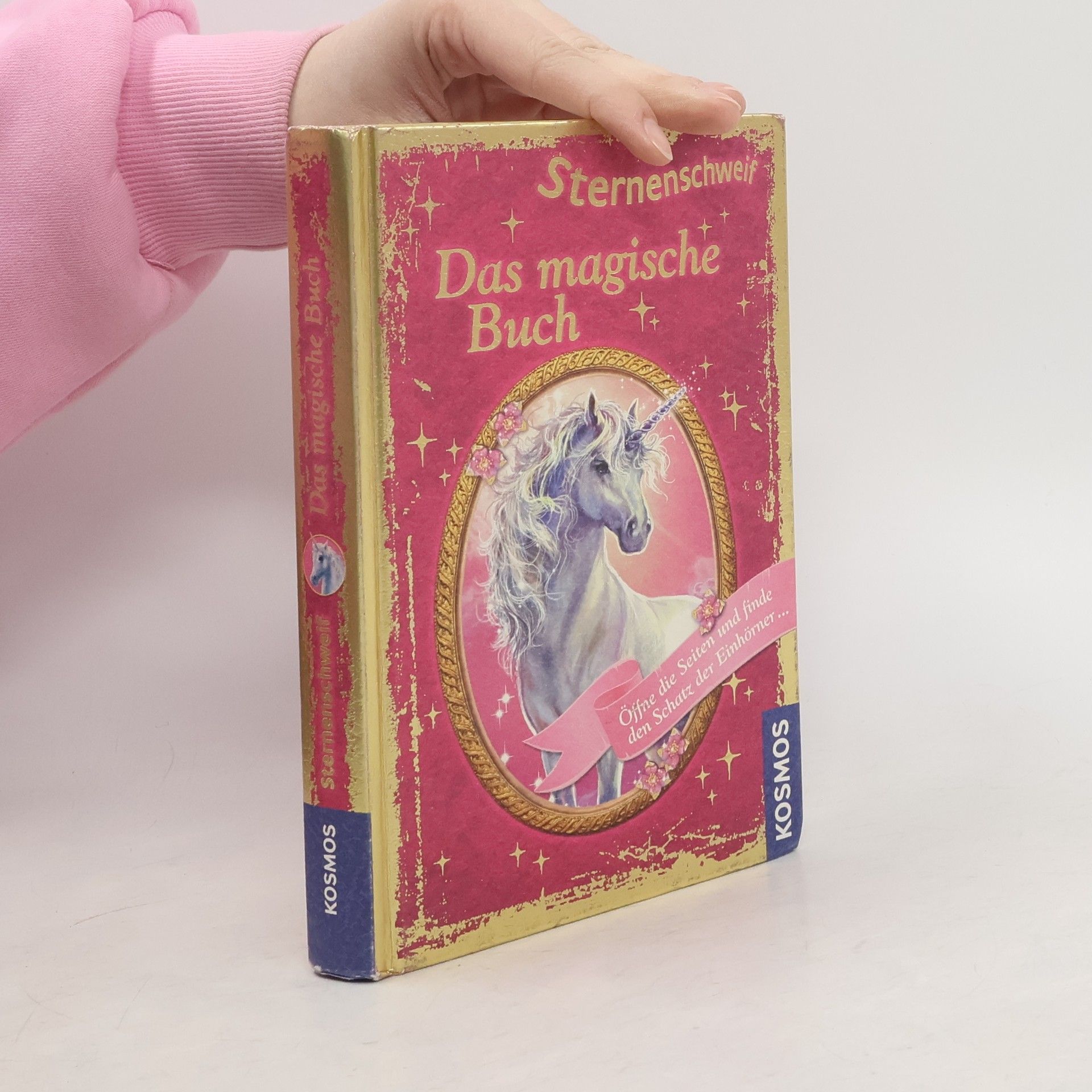 Carolin Ina Schröter Sternenschweif - das magische Buch